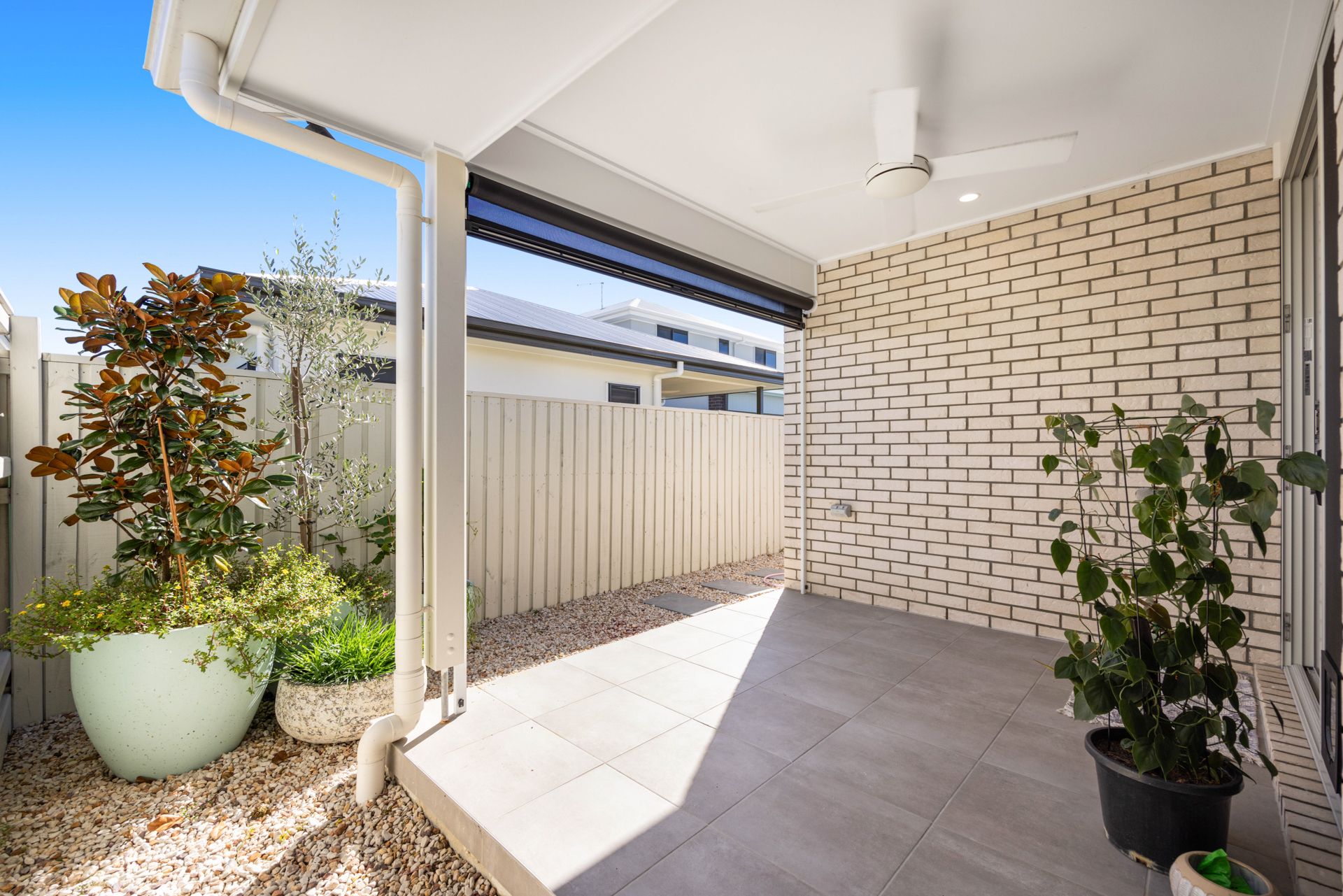 6 Camphor Street — photo 11 of 11