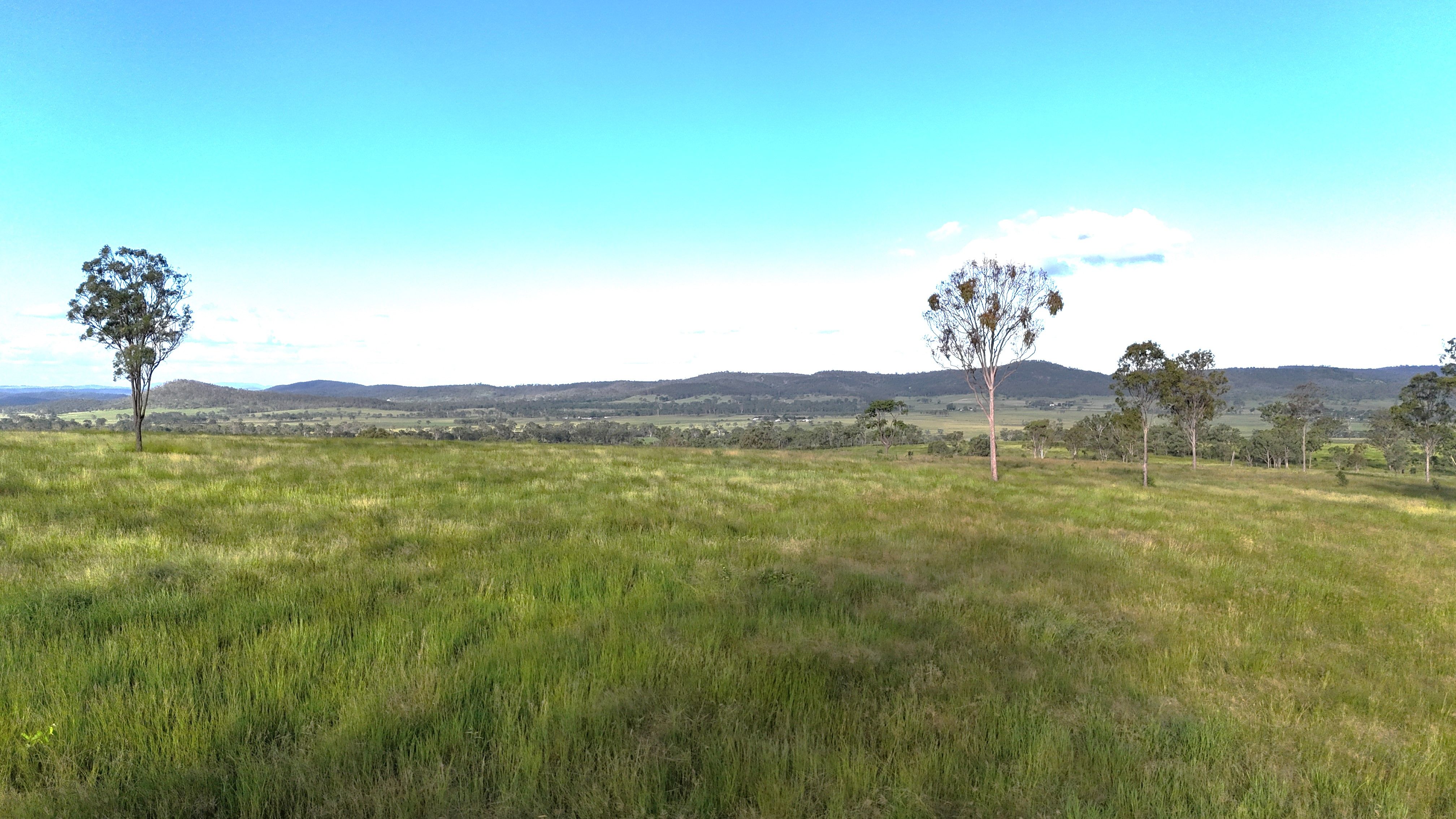 Lot 1 Road, Windera, QLD 4605 Rural Property for Sale Ray