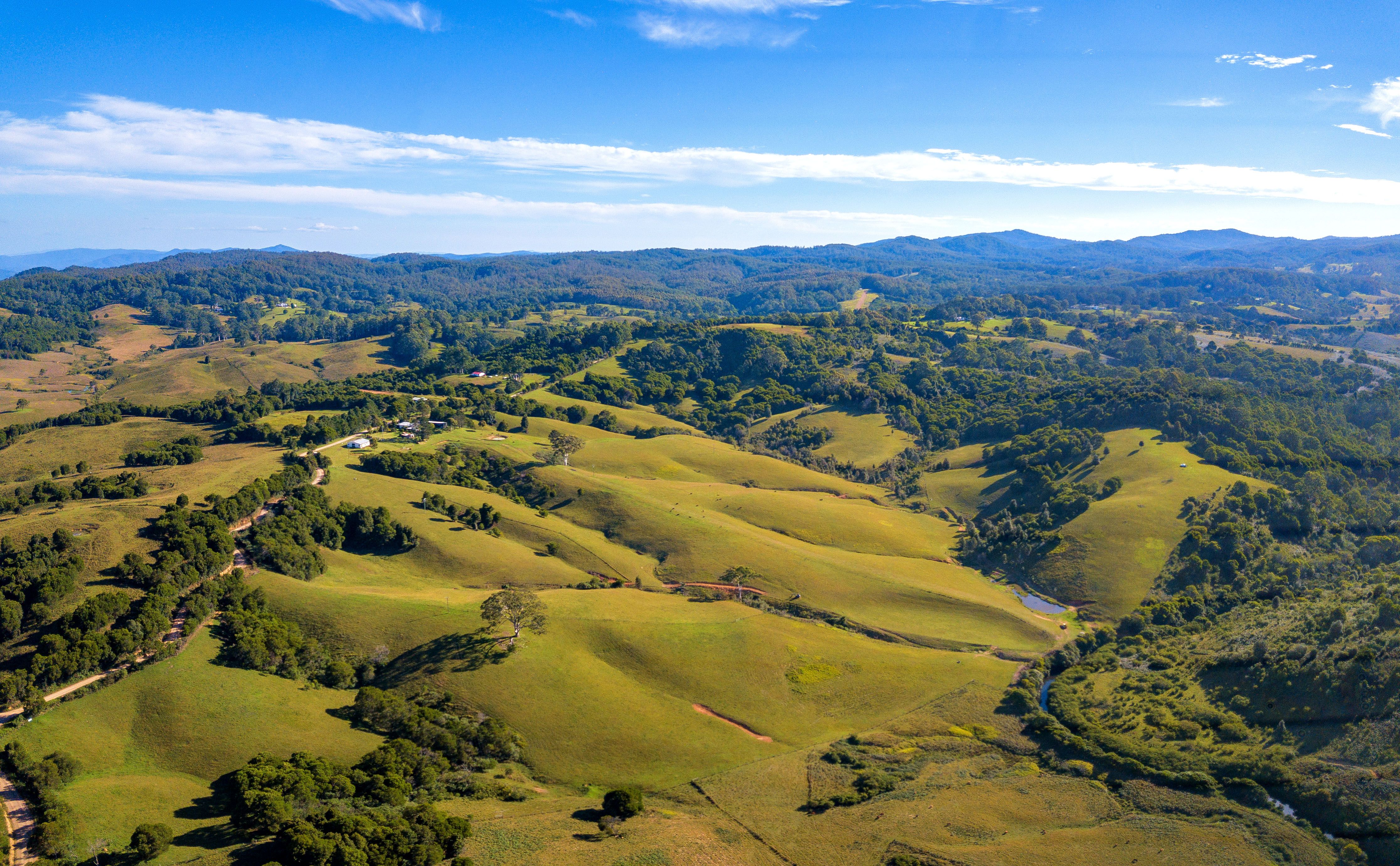 54 Beech Road, Elands, NSW 2429