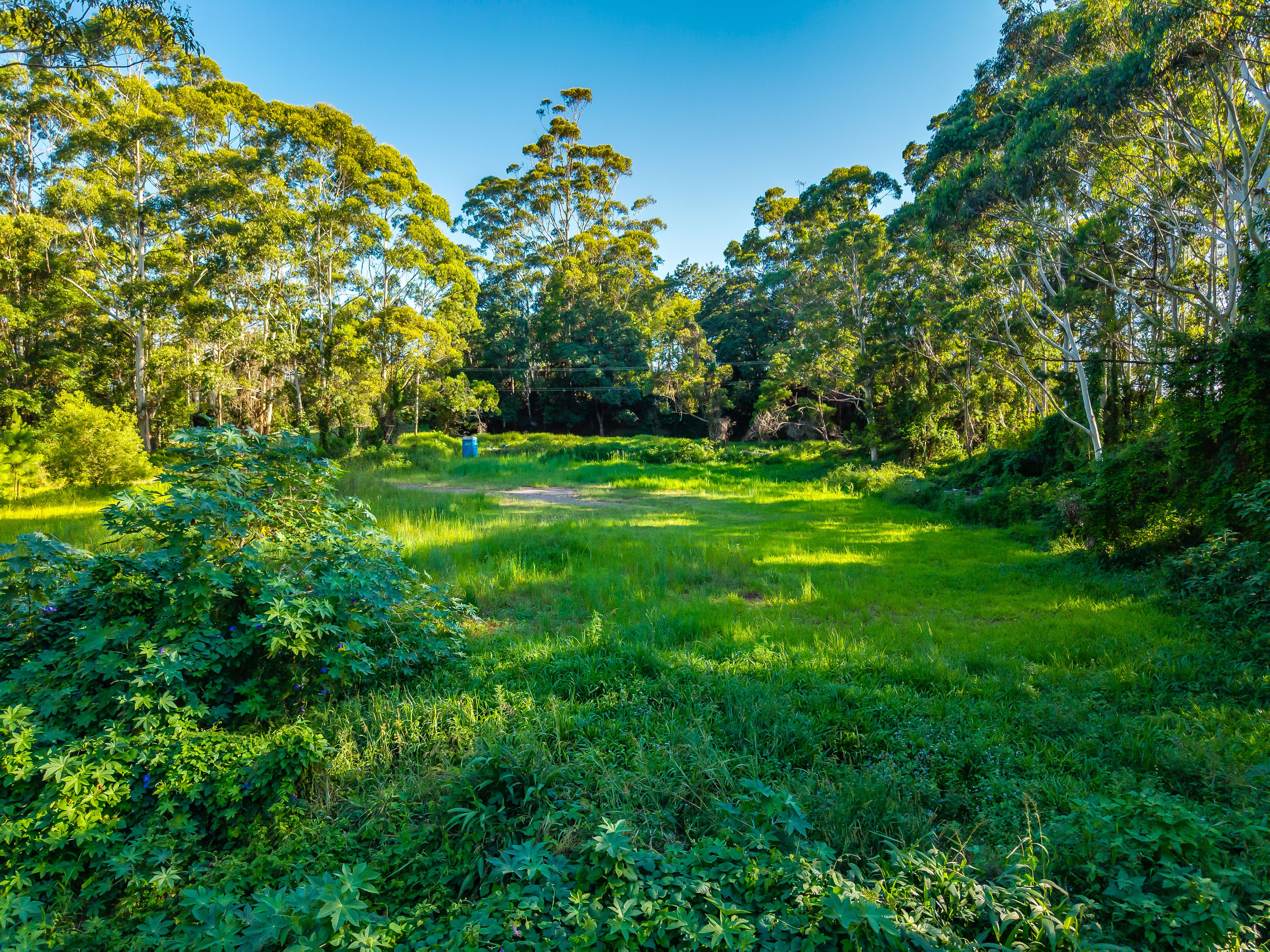 98-196 Guanaba Road — photo 7 of 26