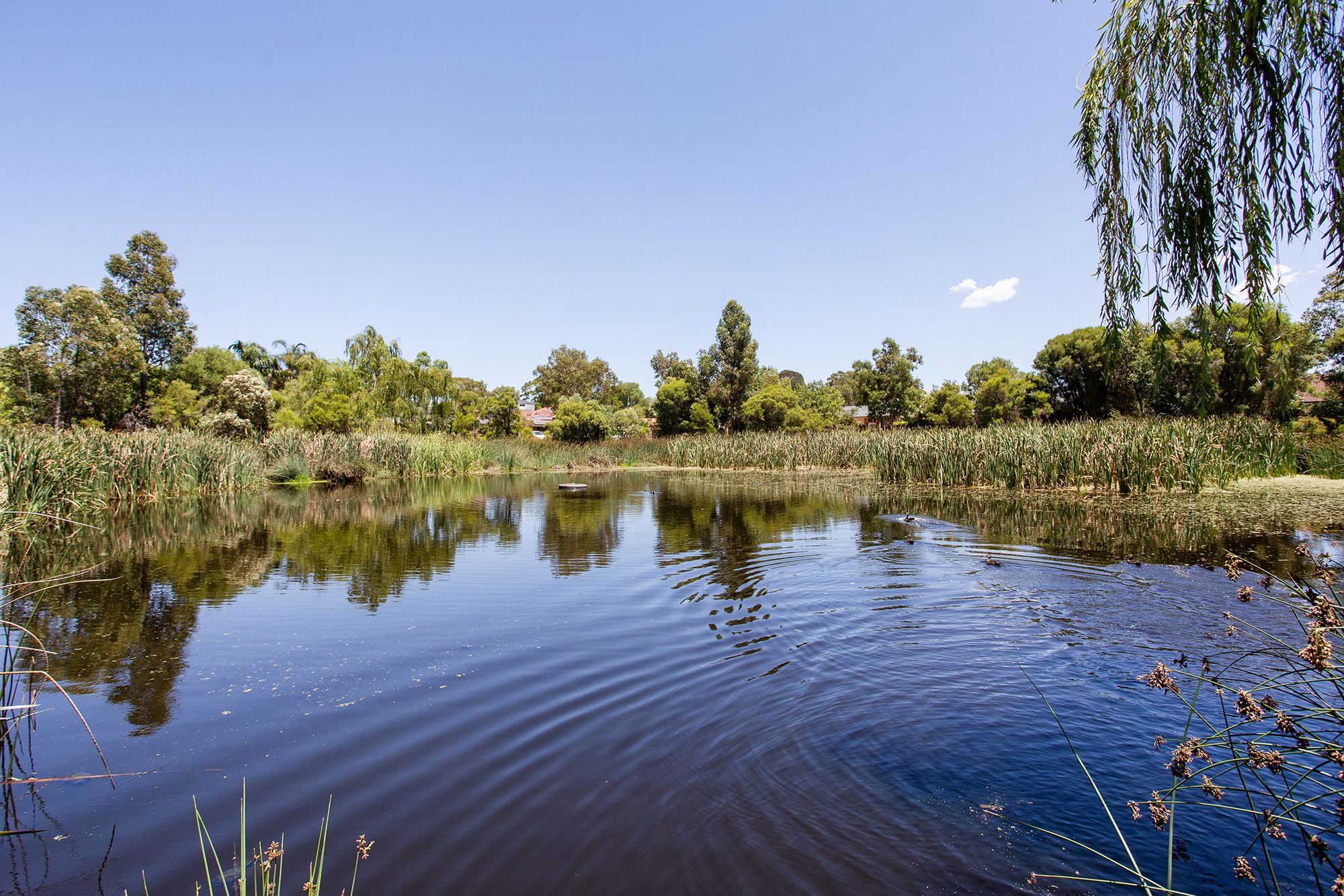 14 Nolan Place, Bayswater WA 6053