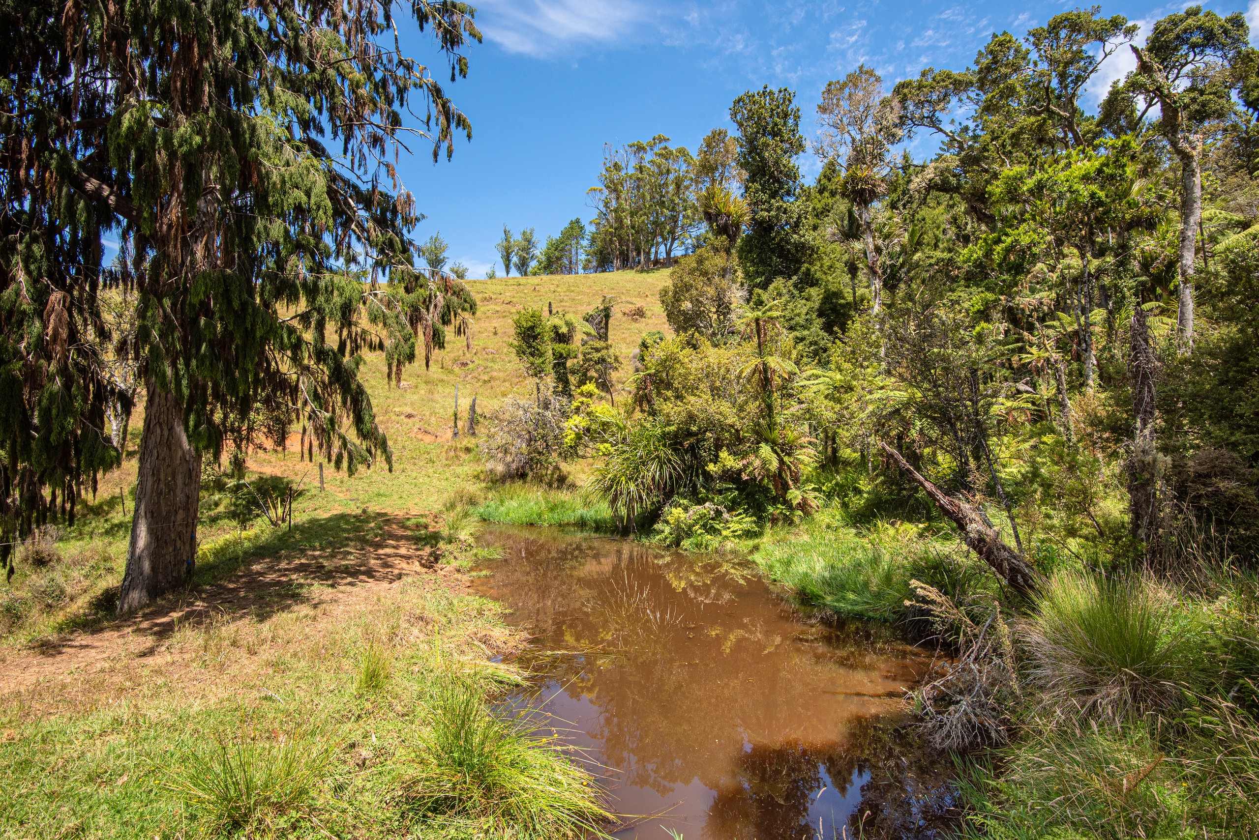 121 Gomez Road, Hikurangi, Whangarei District