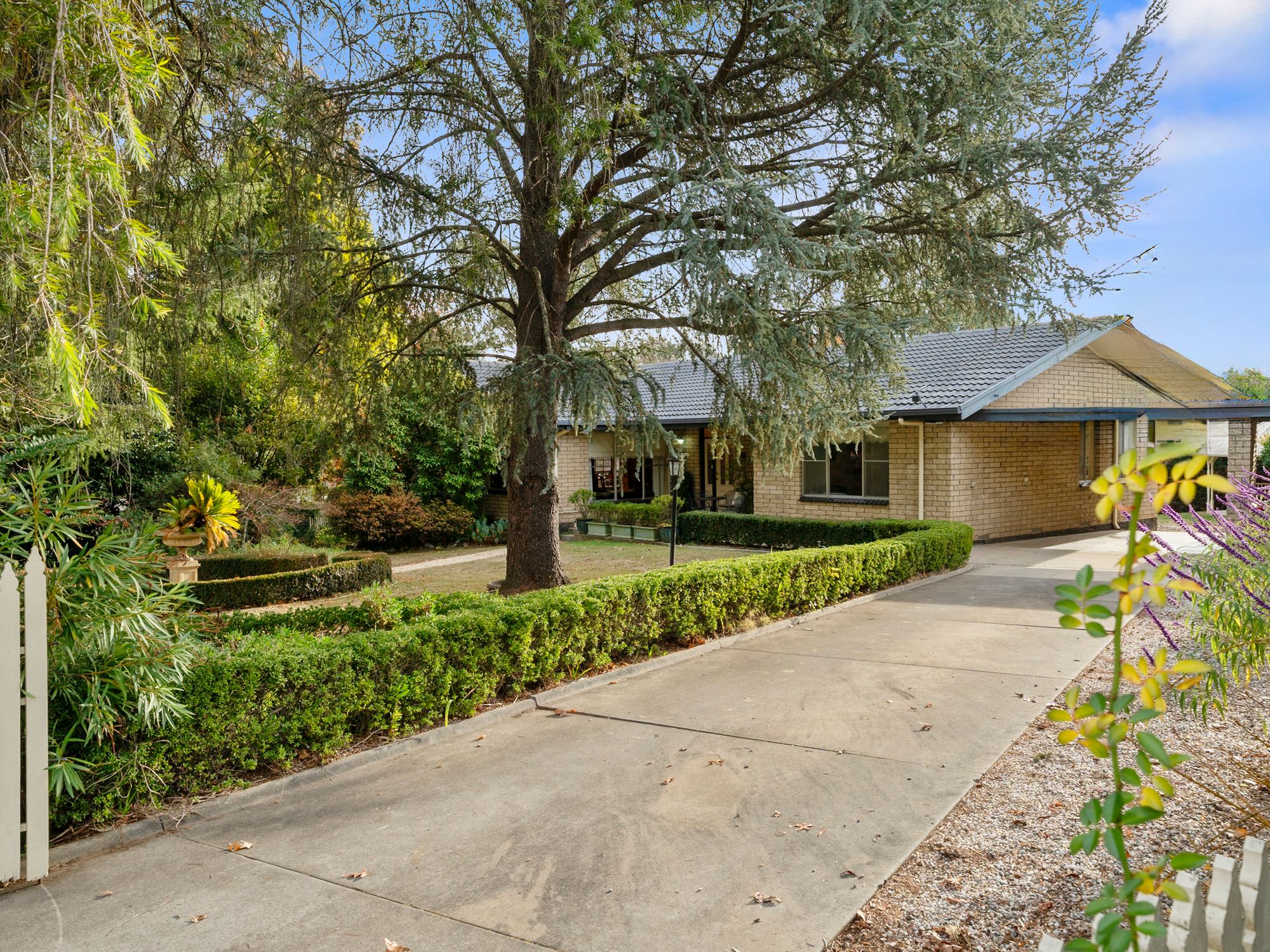 135 Standish Street, Myrtleford, VIC 3737 House for Sale Ray White