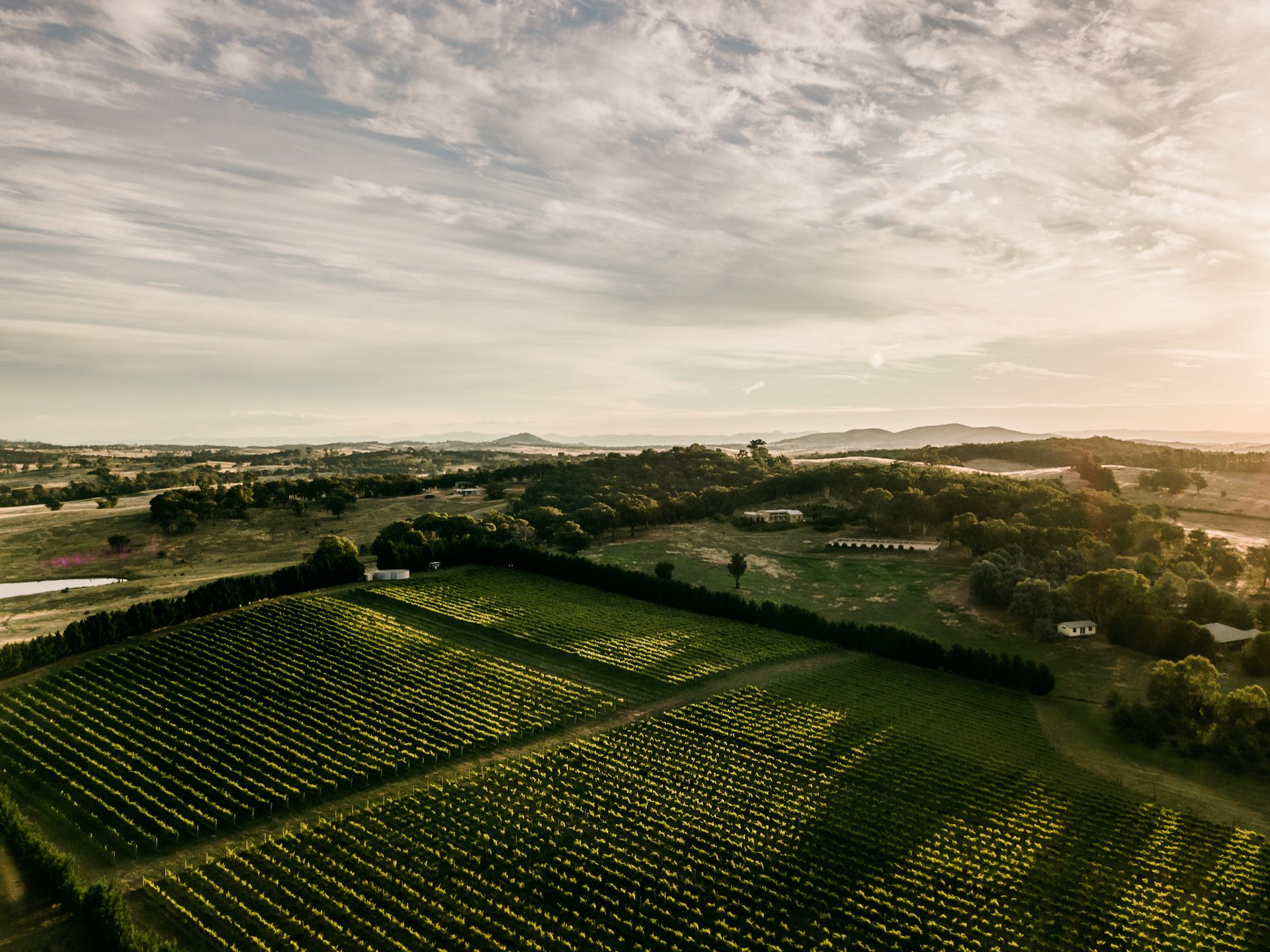 1692 Murrumbateman Road, Gundaroo, NSW 2620