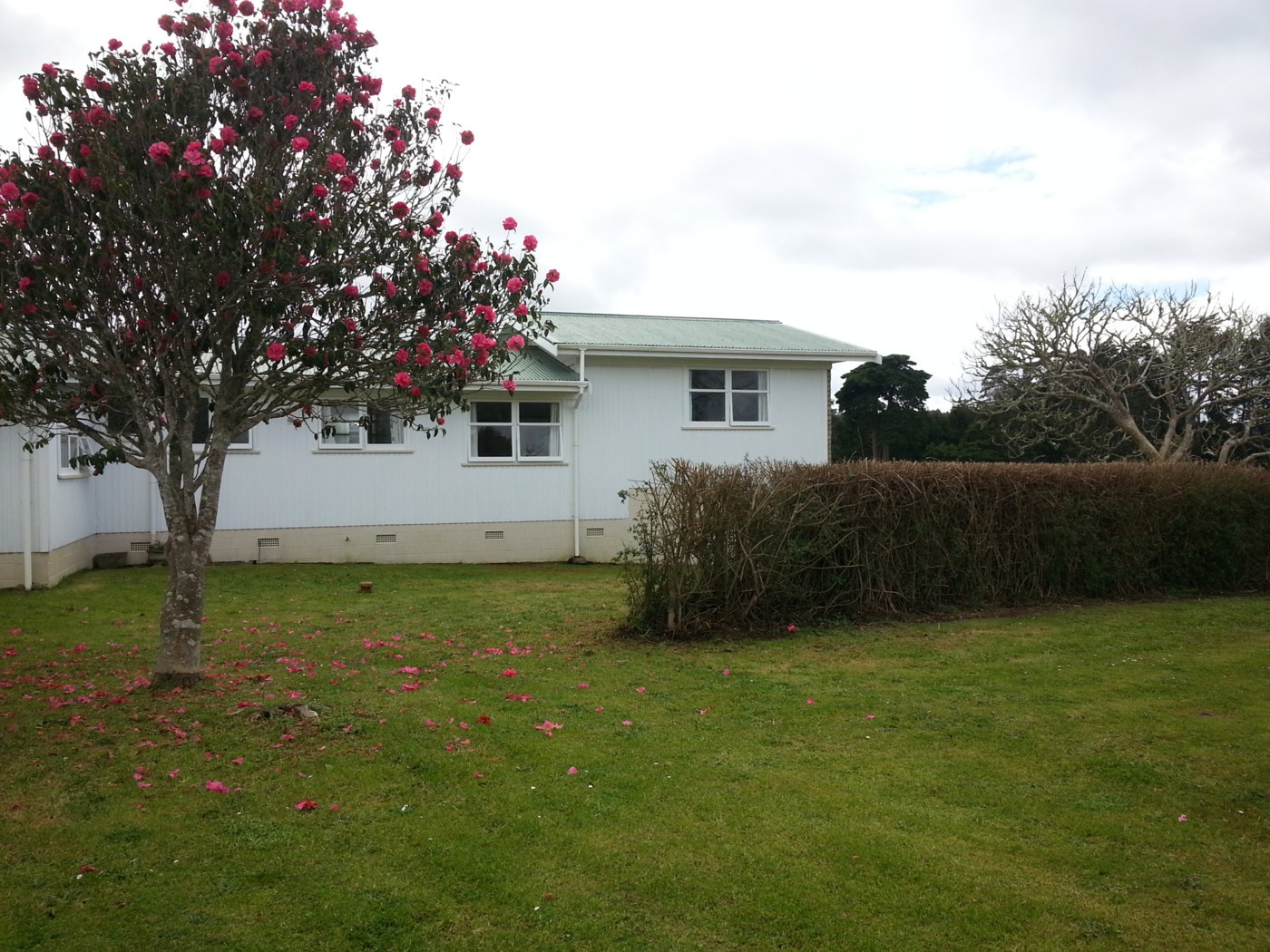 12 Ngapuhi Road, Kaikohe, Far North District