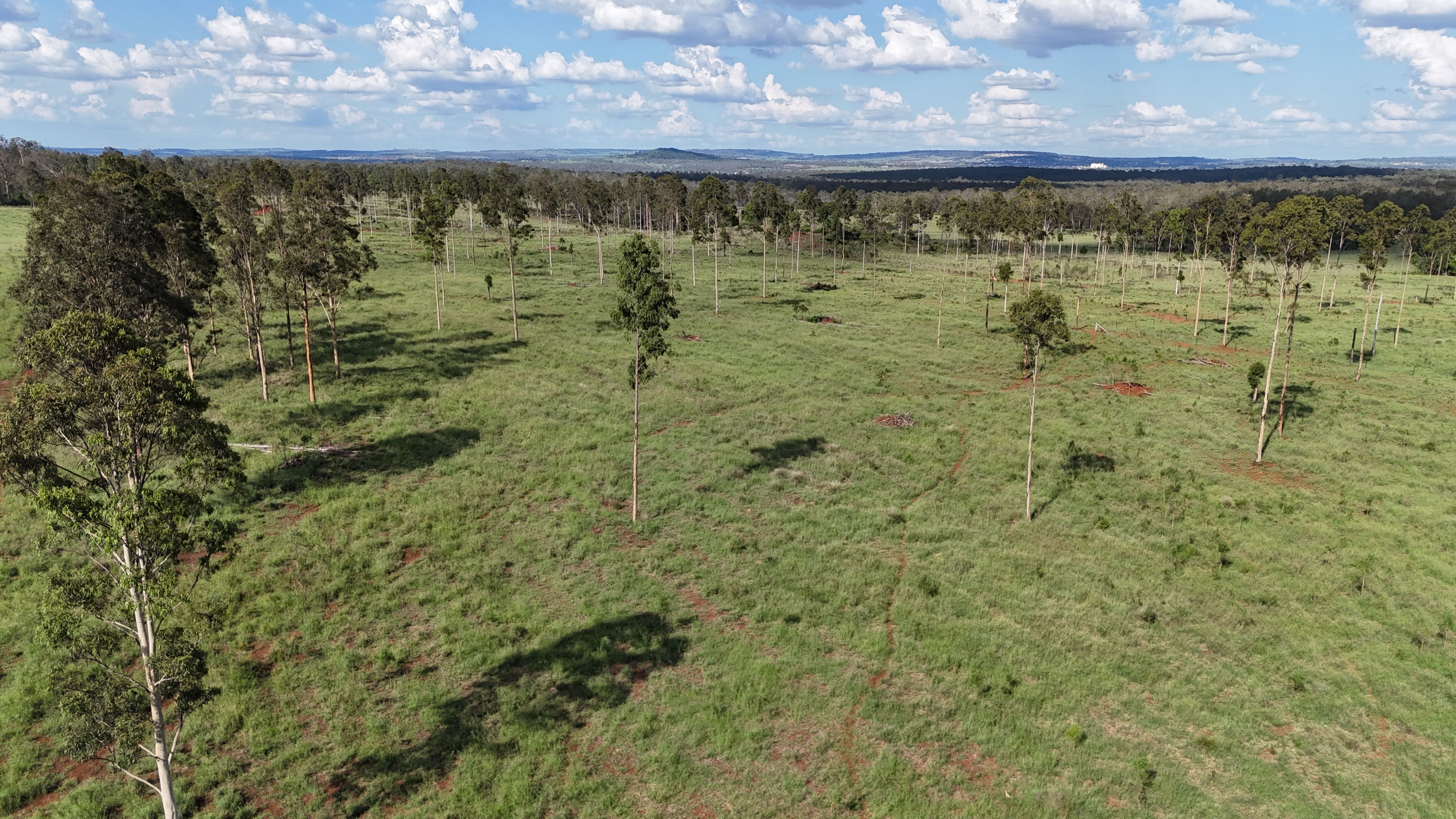225 Beils Road, Inverlaw, QLD 4610 Rural Property for Sale Ray