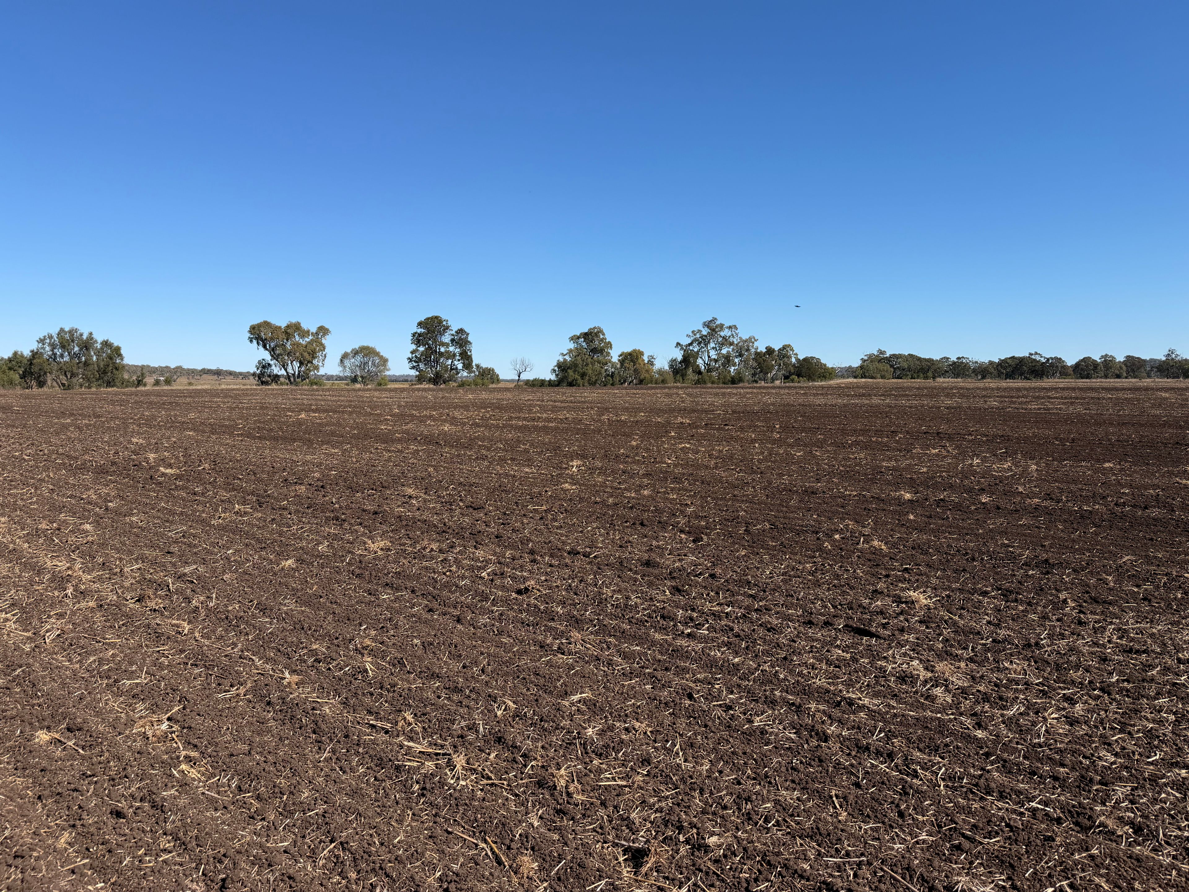 Lot 1 Bunya Highway — photo 3 of 17