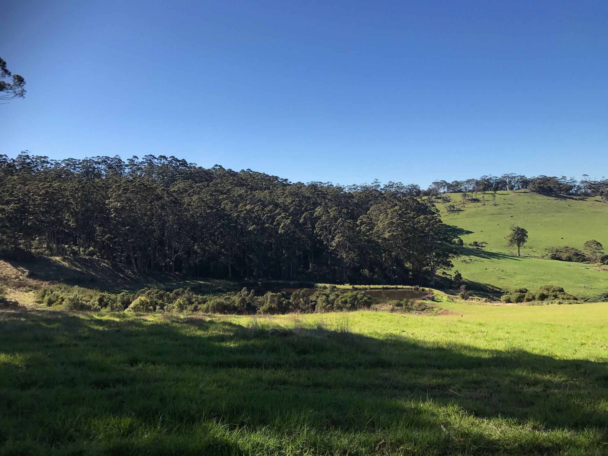 403 Myers Road, Denmark, WA 6333