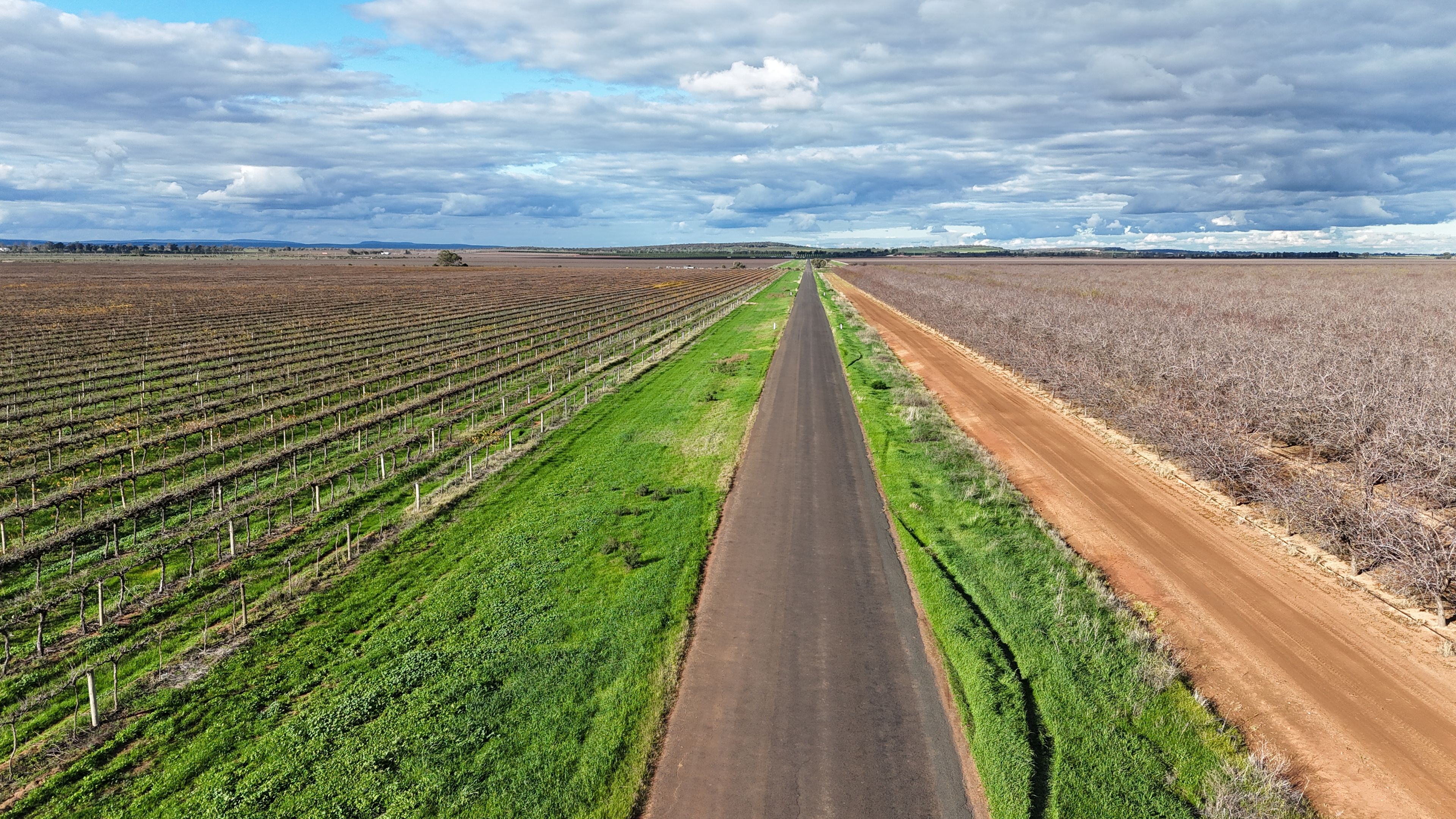 White Road Vineyard Aggregation — photo 10 of 11