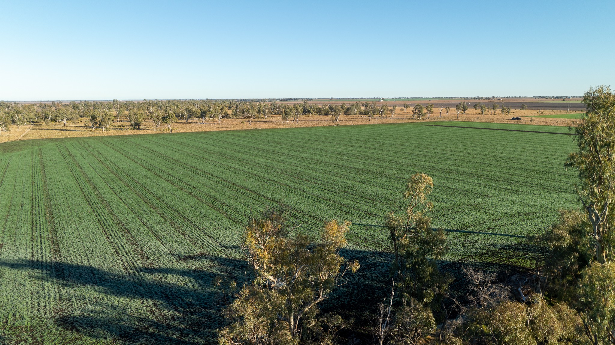 1268 Tummaville Road, Tummaville, QLD 4352