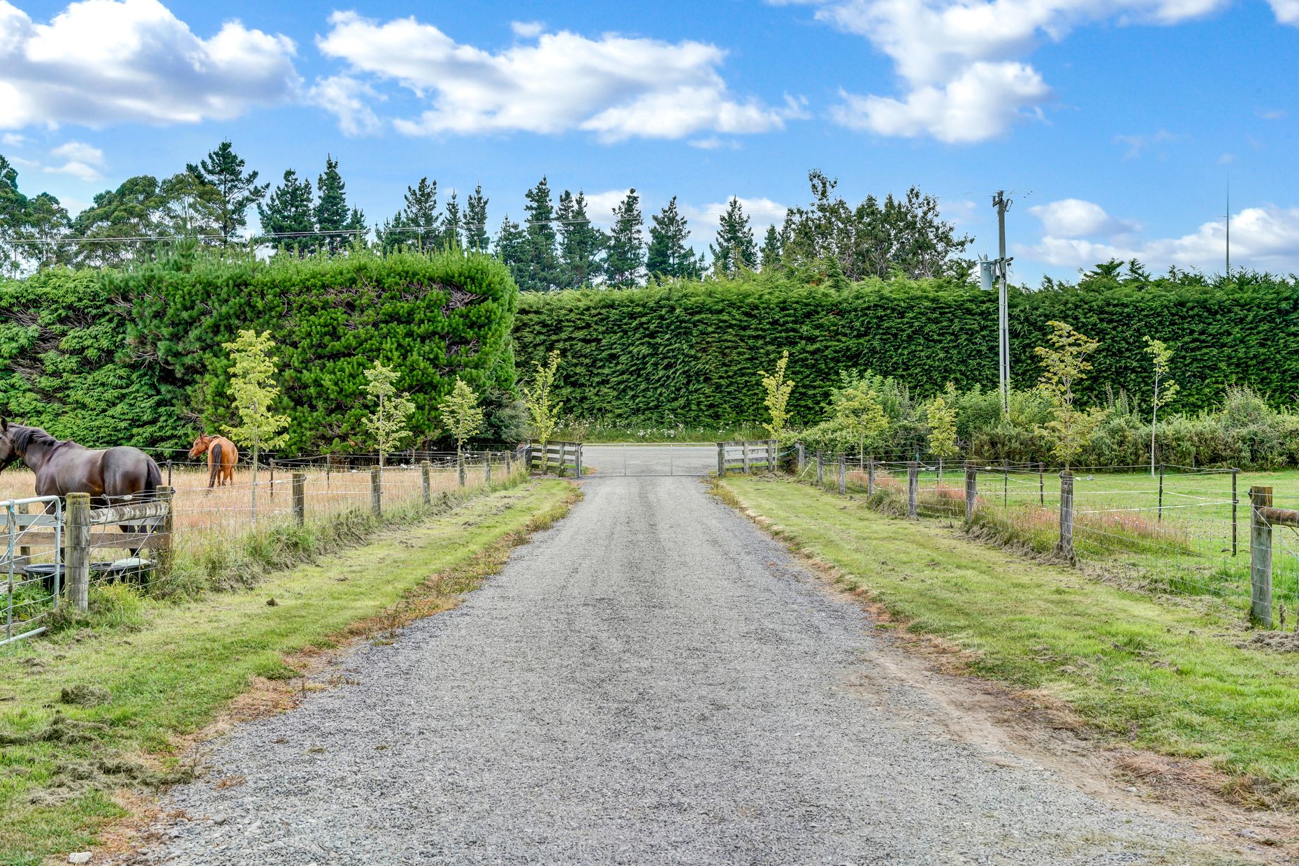 208 Woodside Road, Oxford, Waimakariri District 7430 Sold Rural