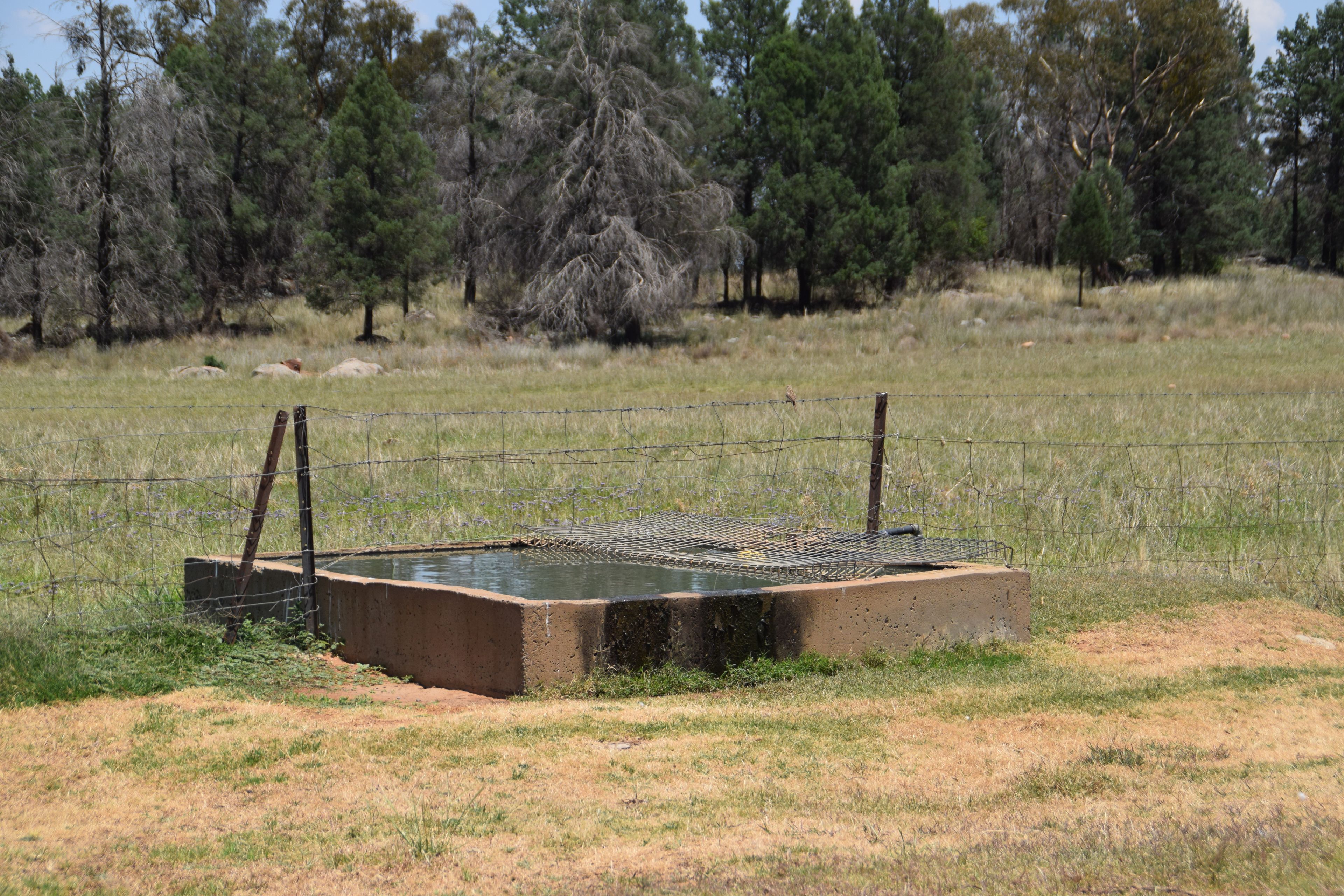 'Illapa' 238L Narromine Road — photo 18 of 30
