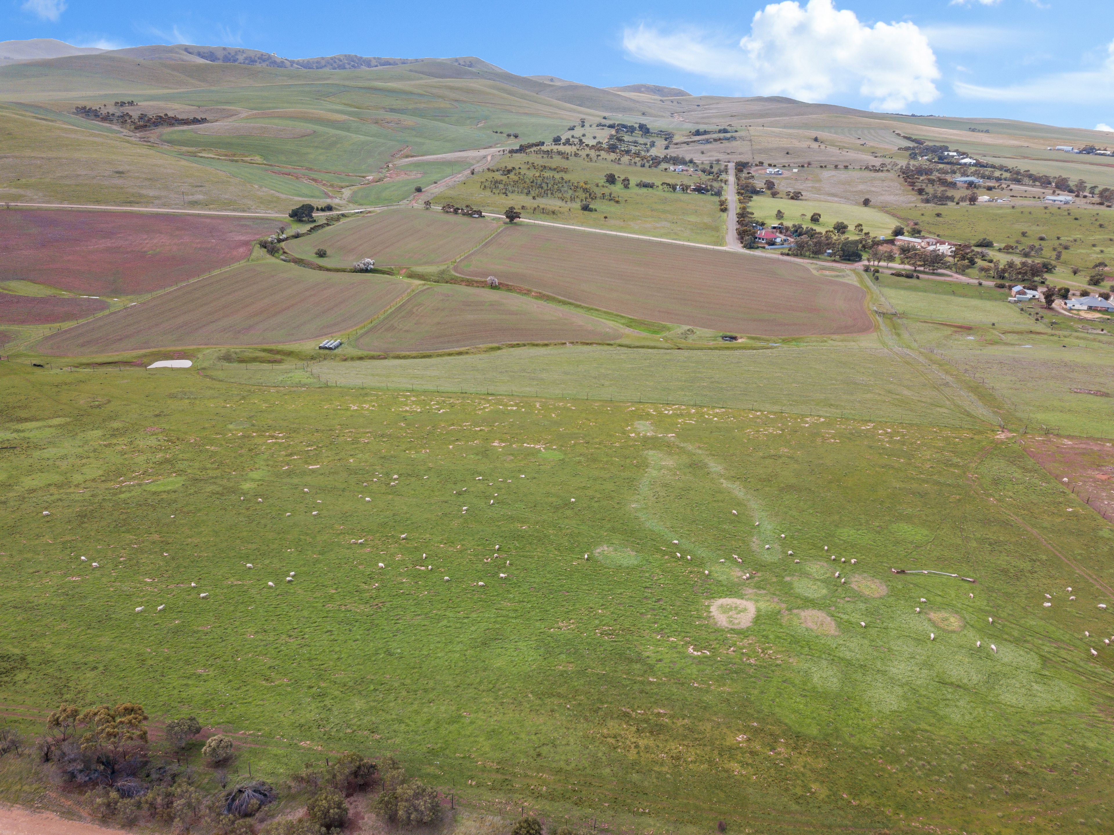 Lot 120 West Terrace, Burra, SA 5417