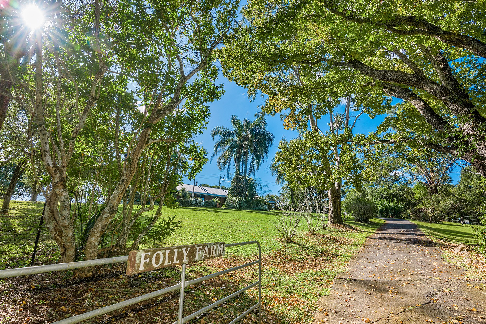 147 Rosebank Road, Rosebank, NSW 2480