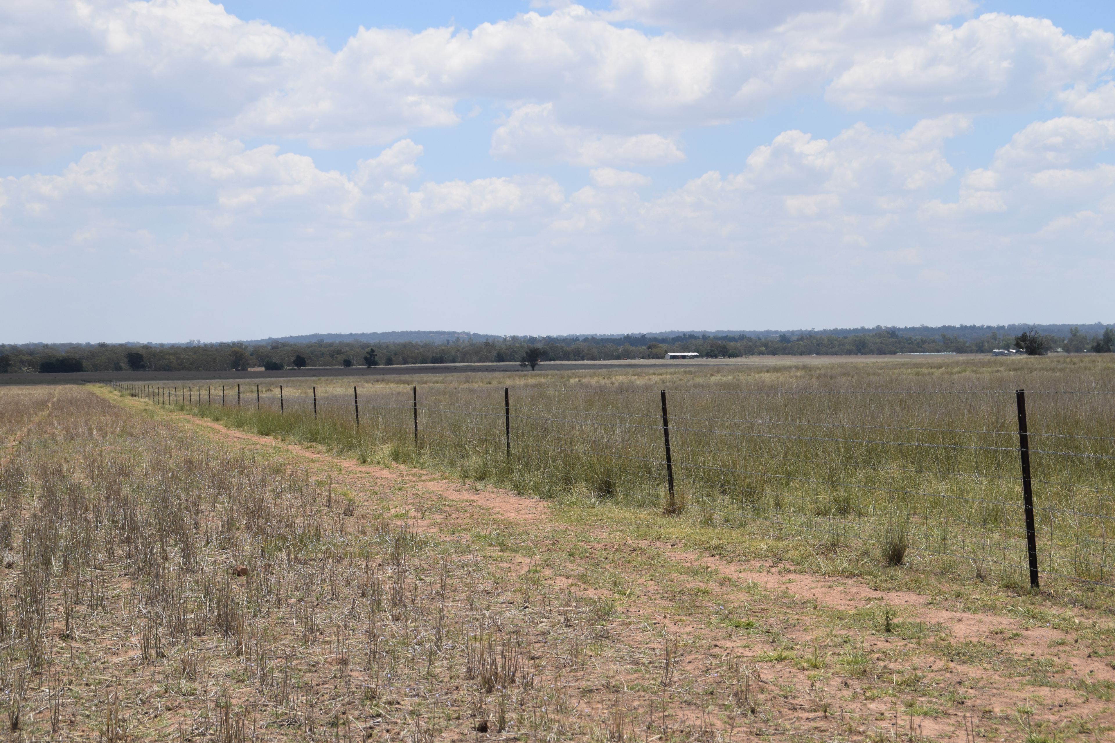 'Illapa' 238L Narromine Road — photo 29 of 30