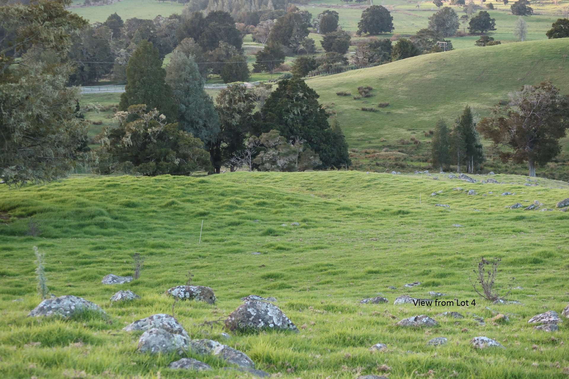 Kerikeri  Far North District  0230 photo 1