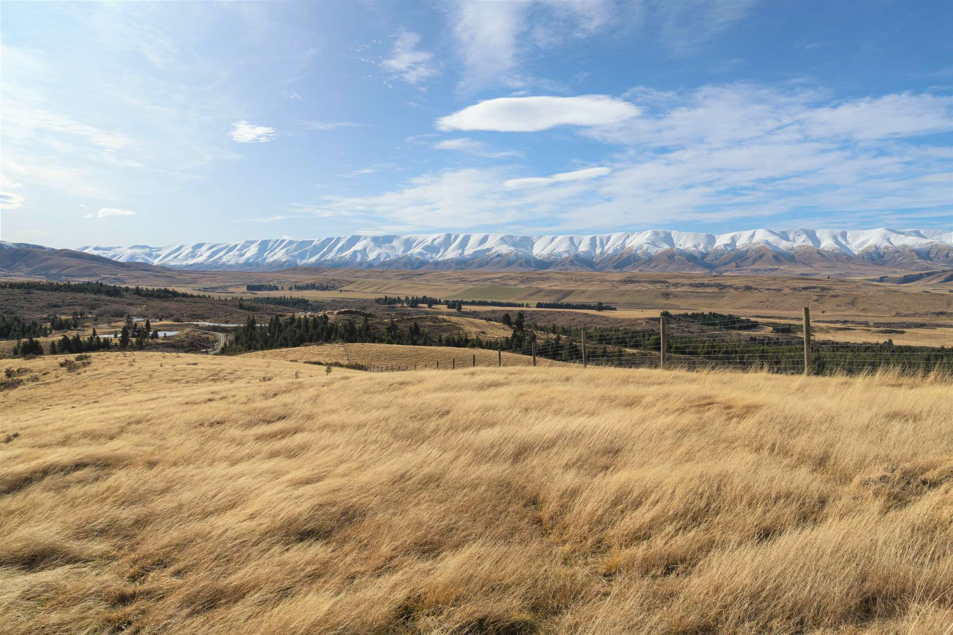 0 St Bathans Road photo 5