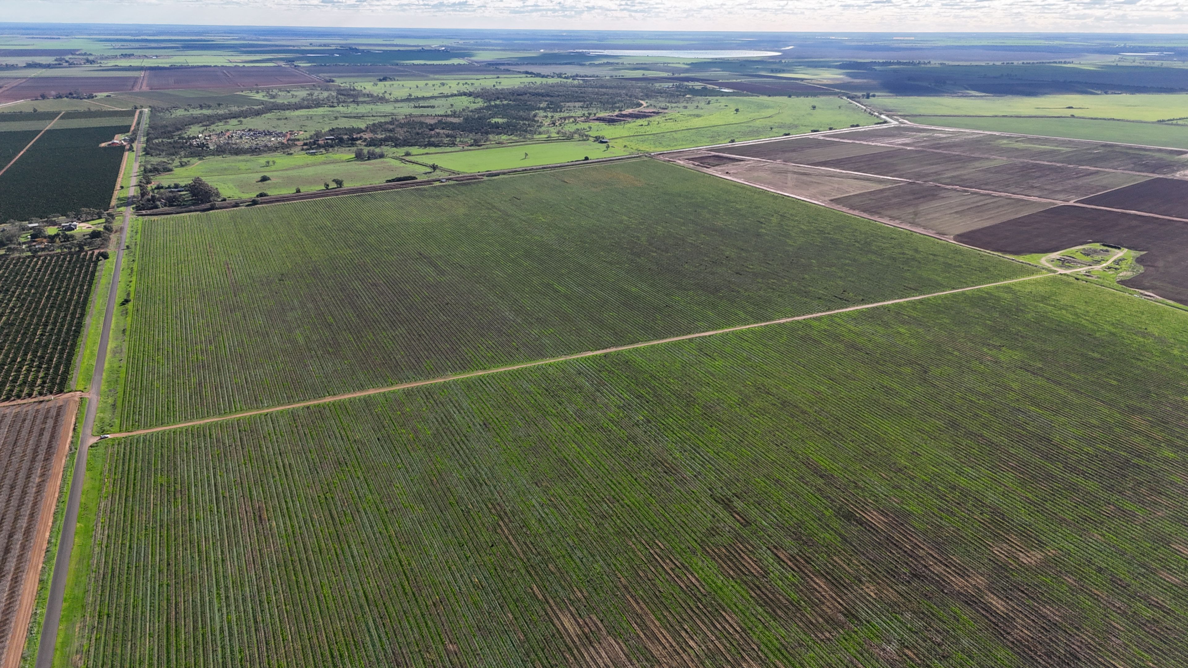 White Road Vineyard Aggregation — photo 5 of 11