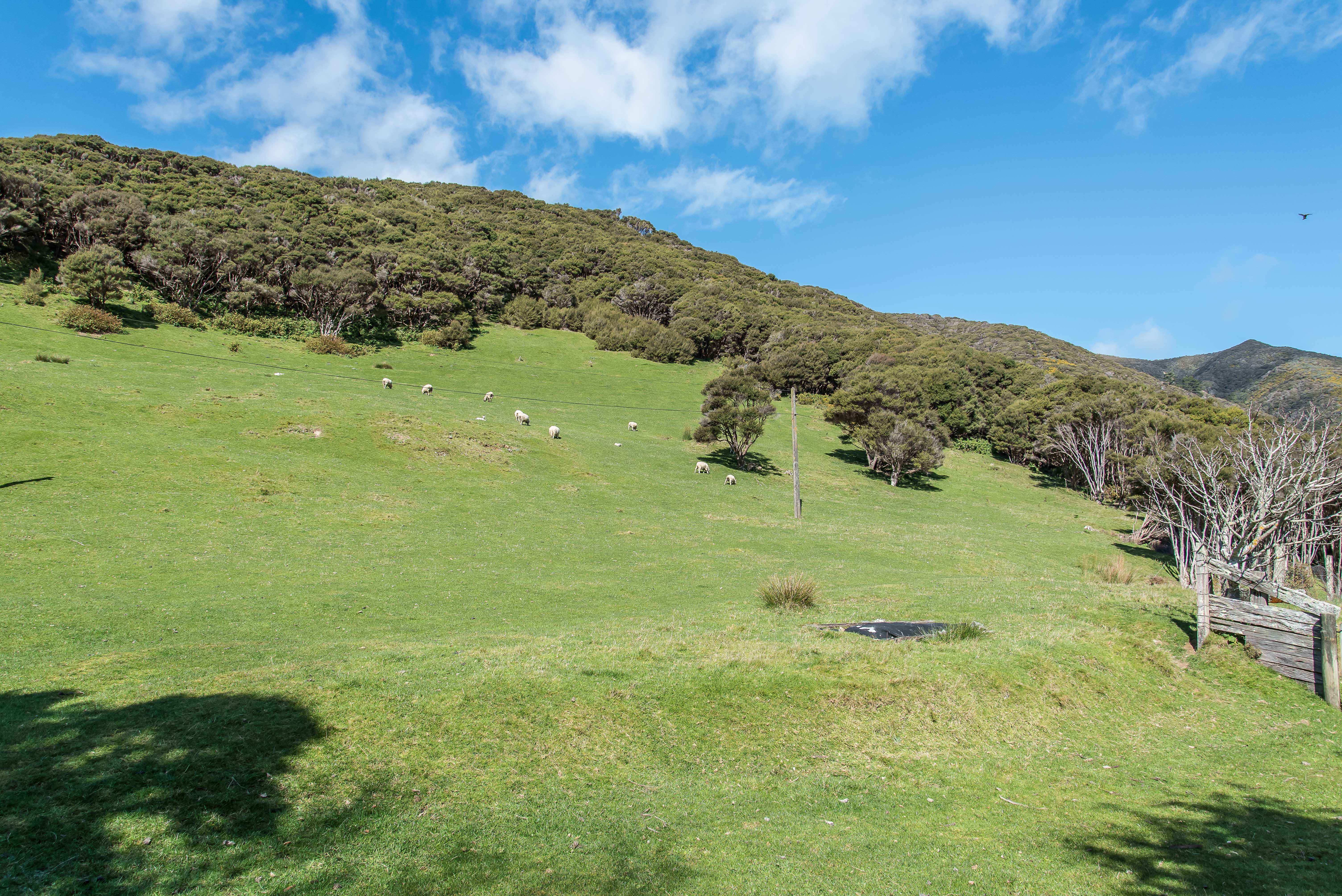 330 South Karori Road, Karori, Wellington City
