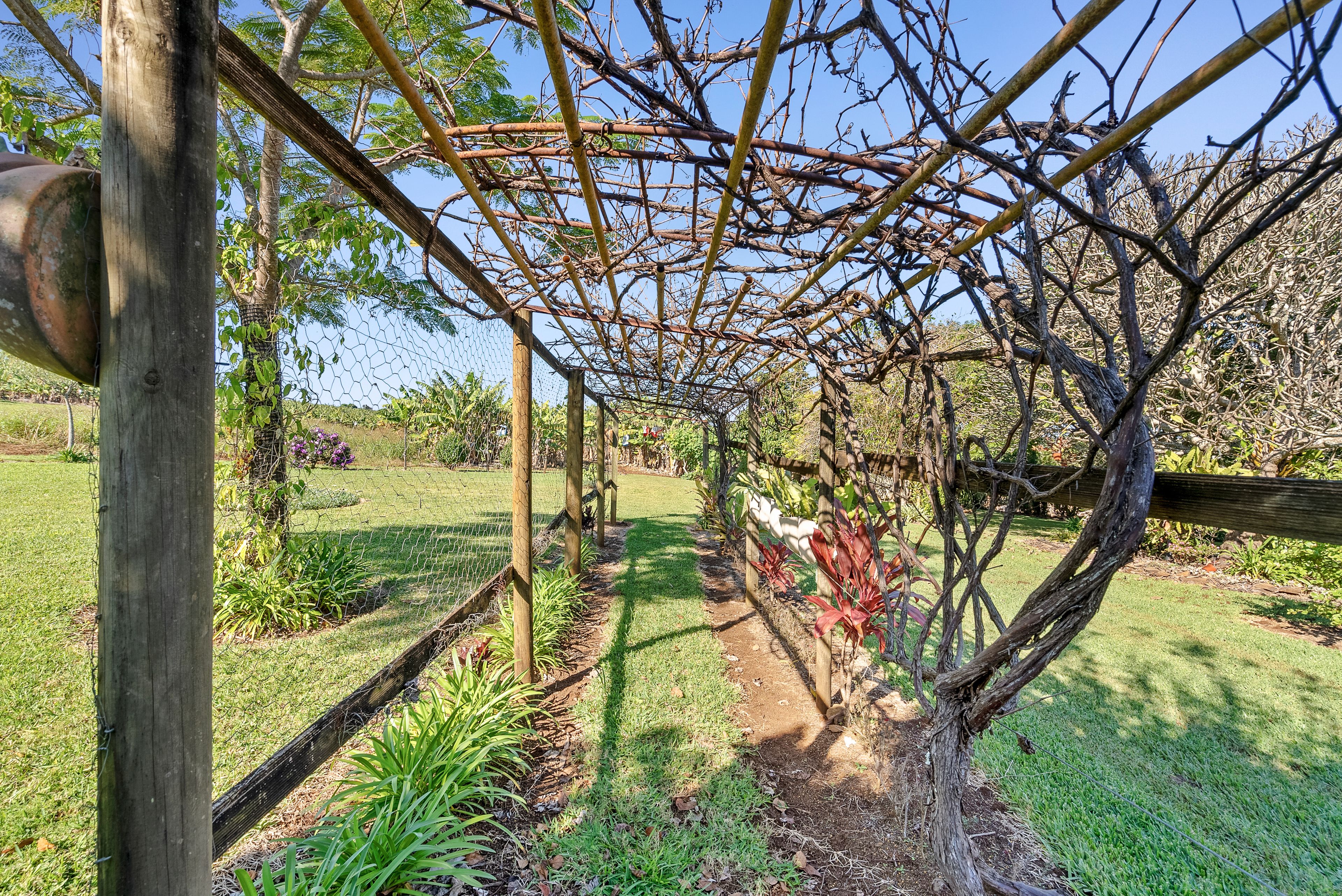 95 Reardons Road, Cudgen, NSW 2487 Rural Cropping Property for Sale