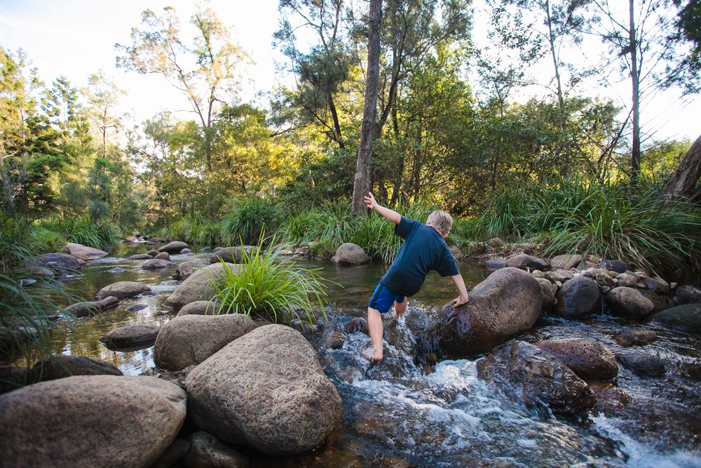 1093 Upper Logan Road, Mount Barney, QLD 4287