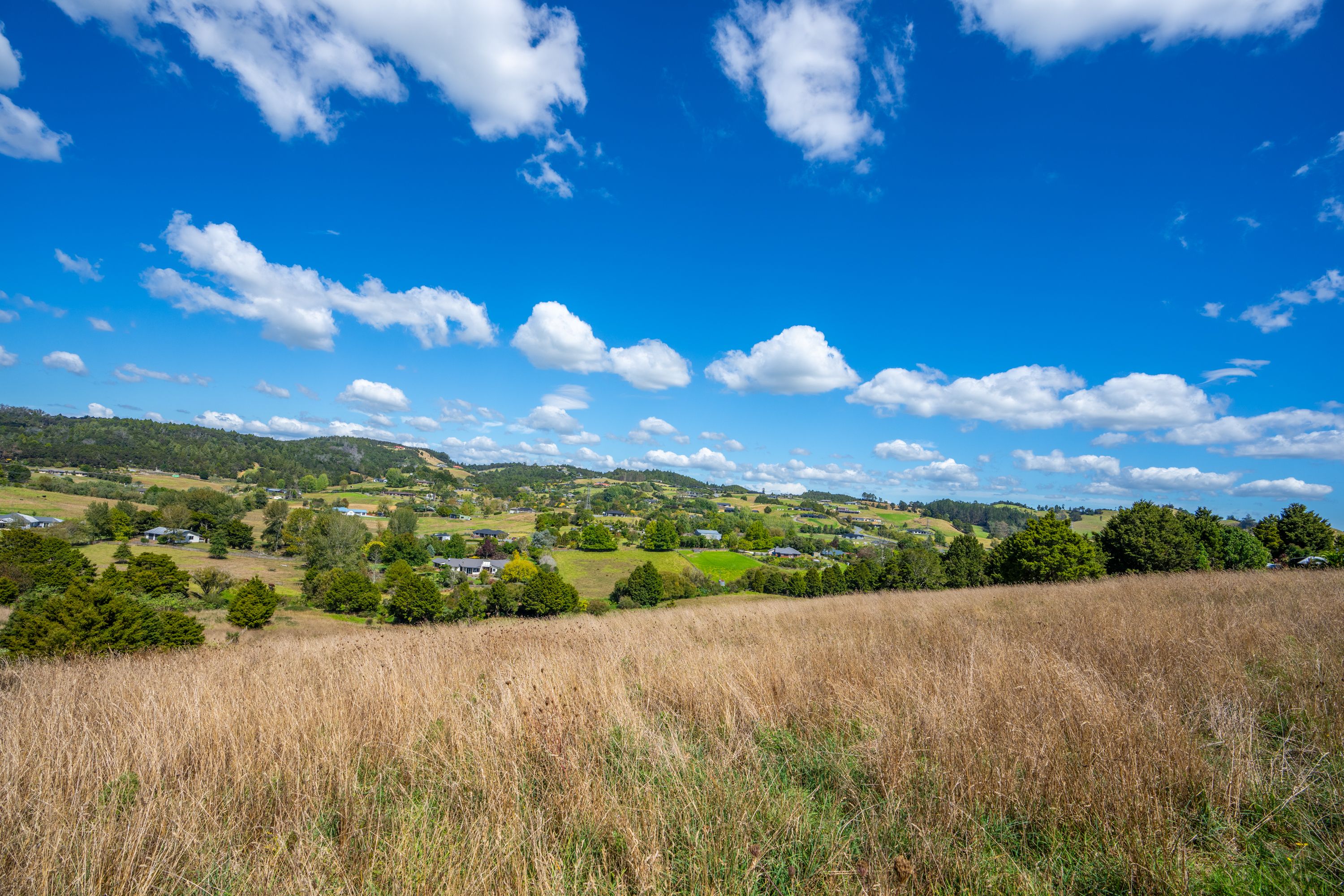 Lot 3 Sylvia Lane, Maunu, Whangarei District 0110 Section for Sale