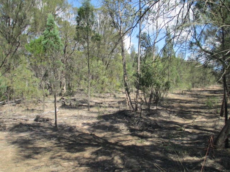 91 Timothy Road, Tara, QLD 4421