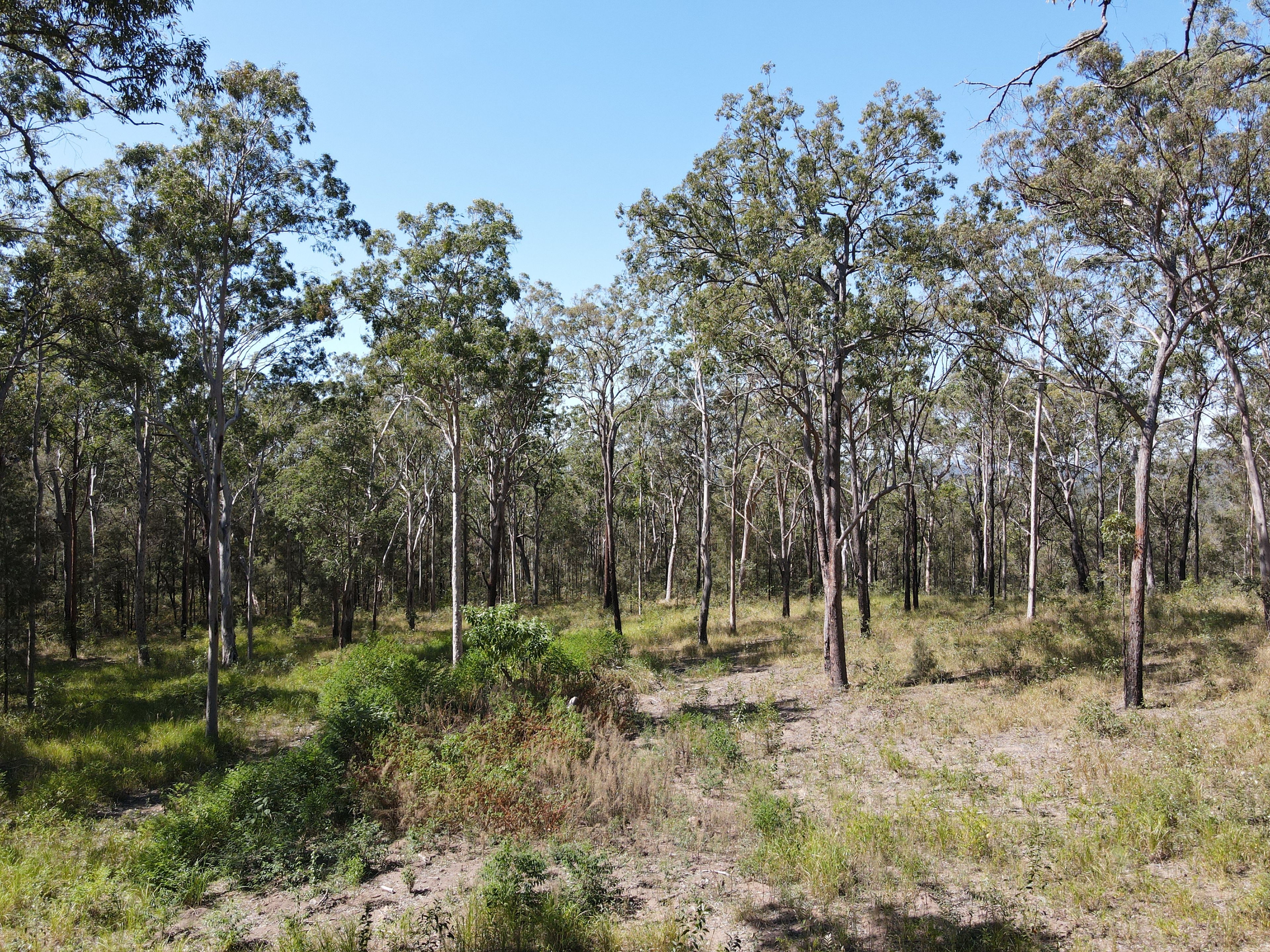 428 Bruxner Road — photo 13 of 18