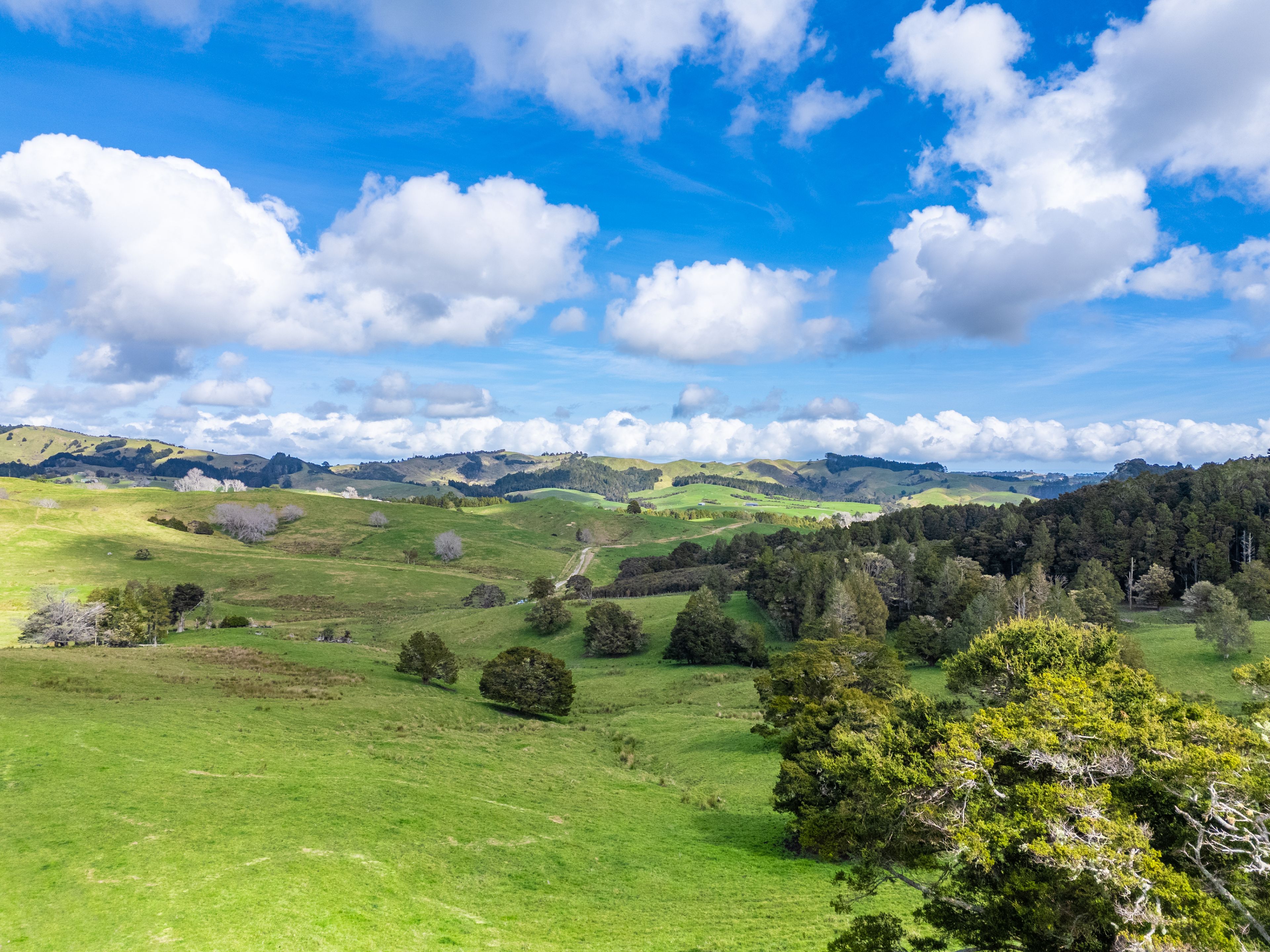 325b Haruru Road, Wainui, Rodney