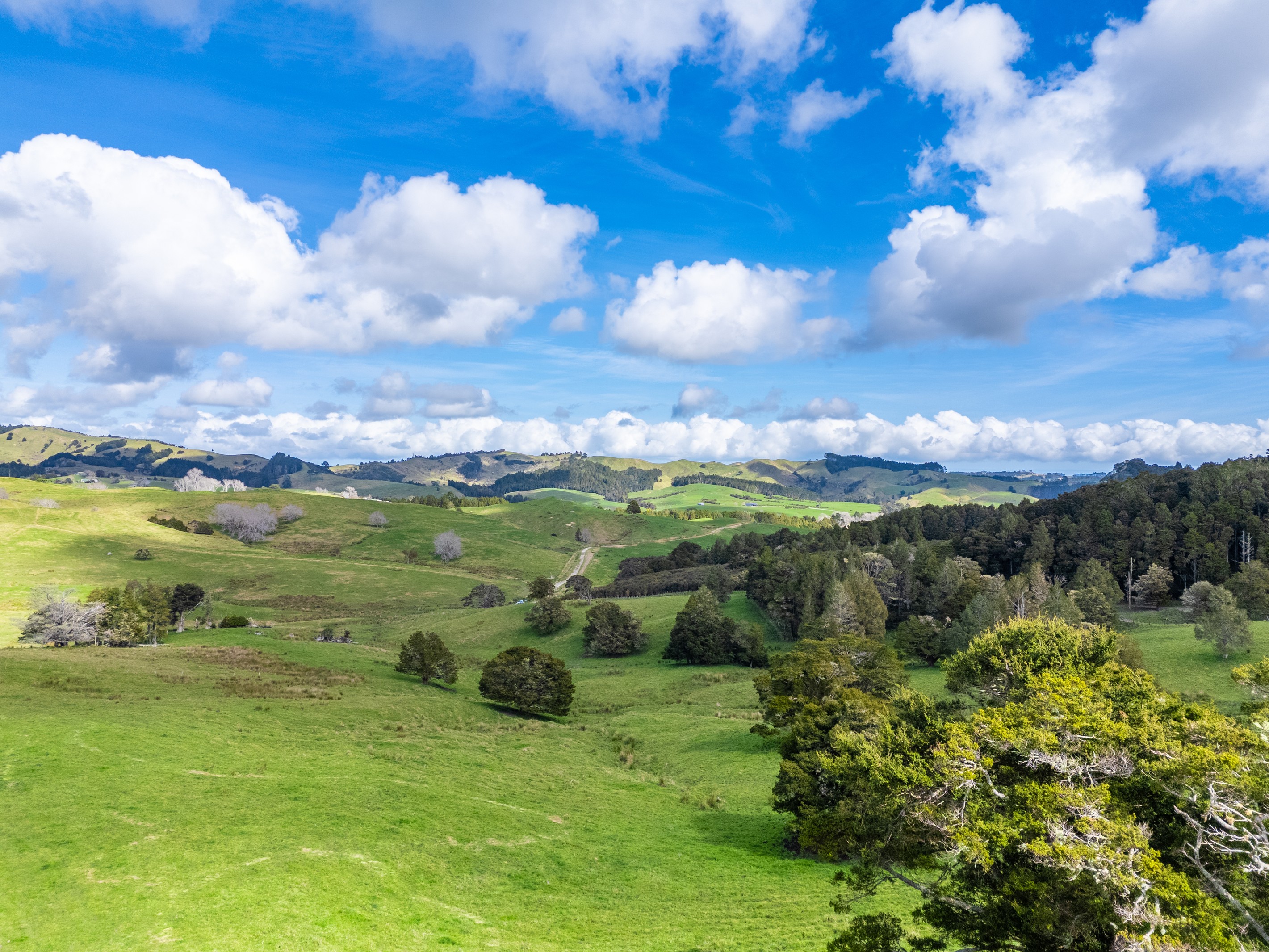 325b Haruru Road, Wainui, Rodney