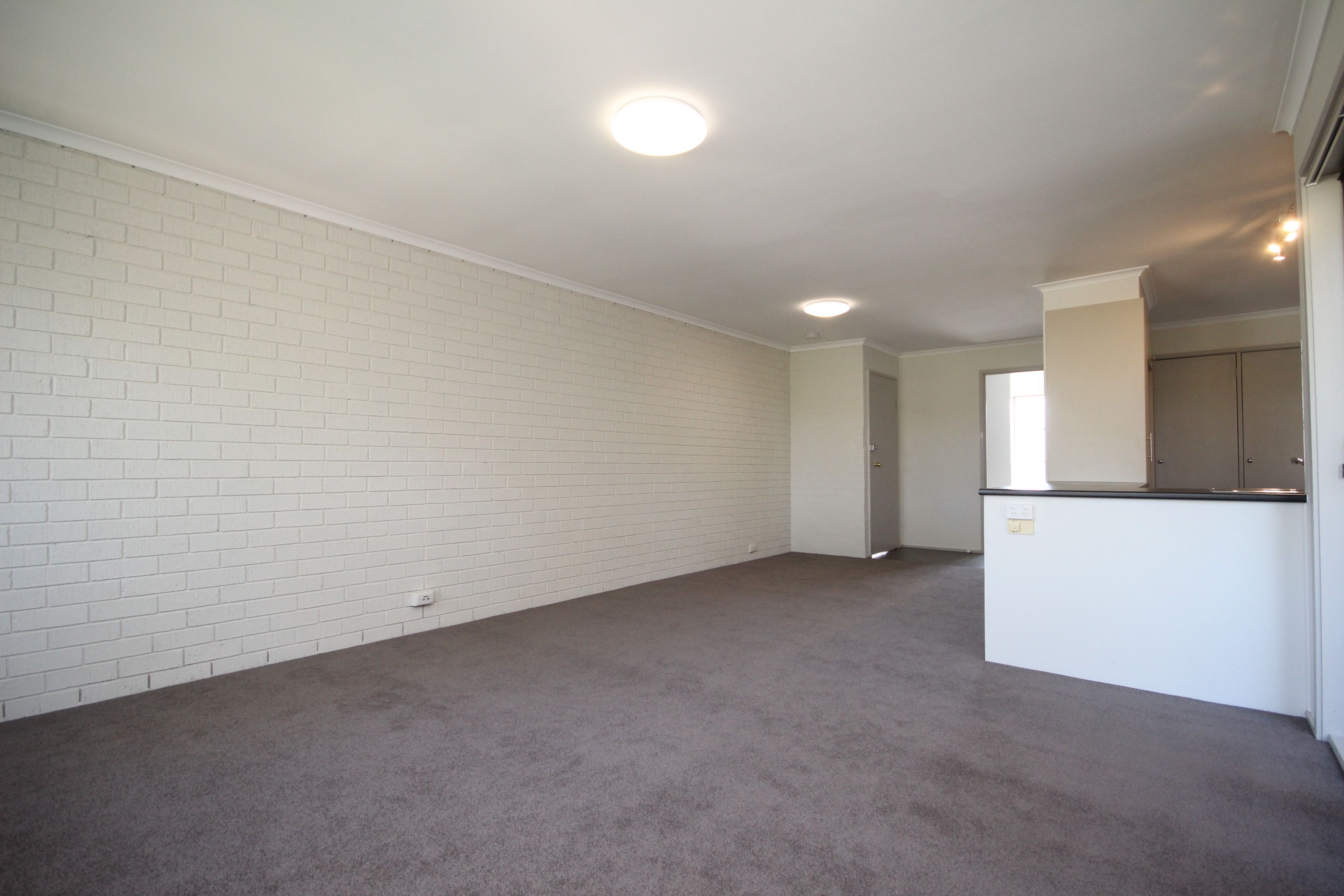 31/10 Wilkins Street — photo 6 of 15