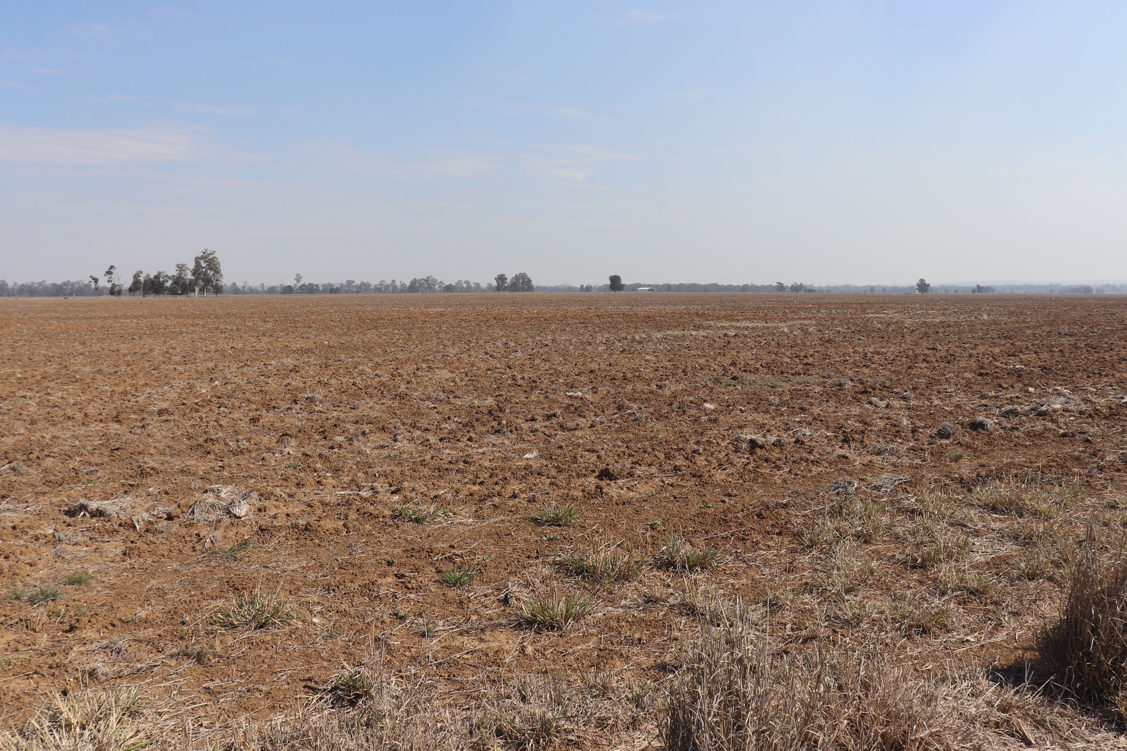 3053 Burra Burri Creek Road, BURRA BURRI, QLD 4413 Sold Rural Mixed