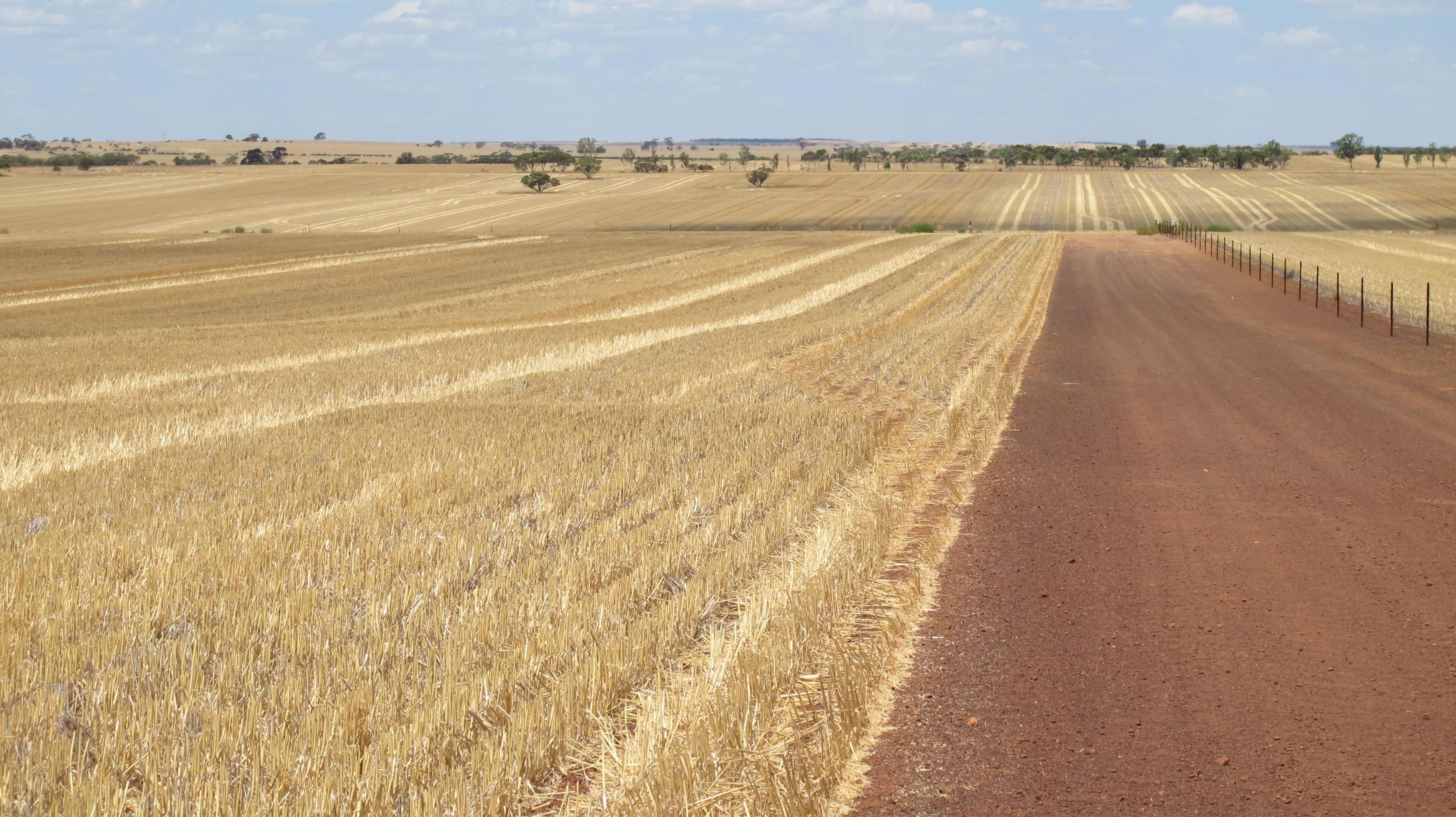 Glen Waddi, Waddy Forest, Coorow, WA 6515
