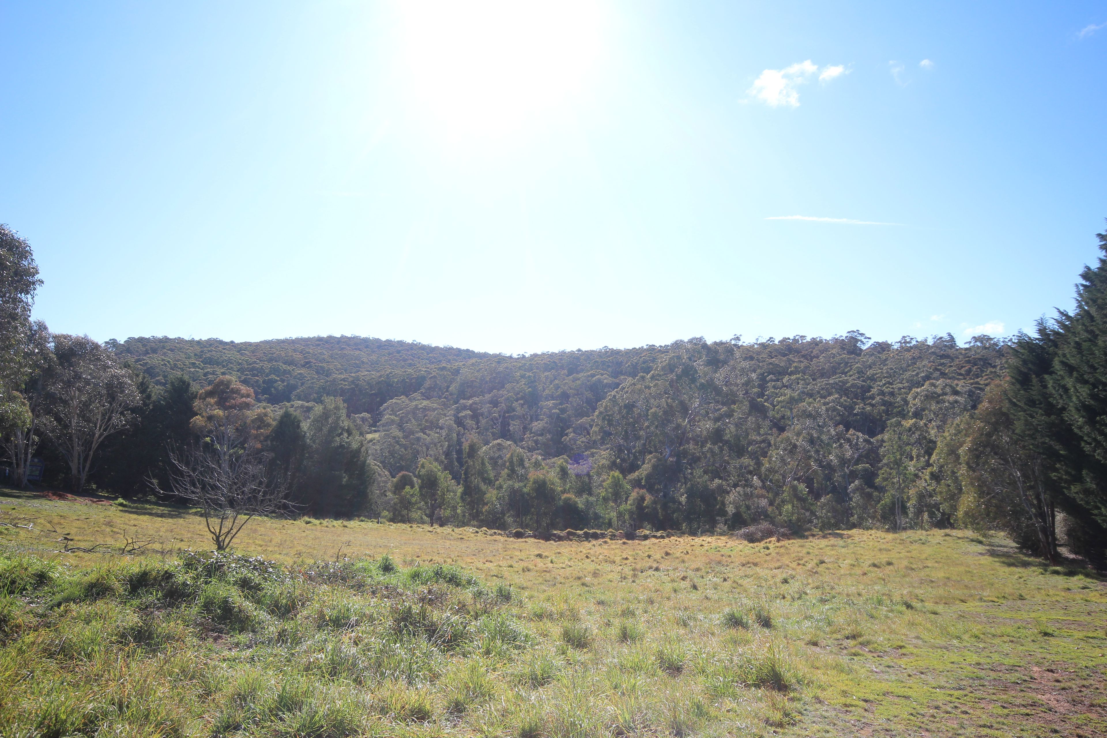 37 Shakespeare Close, Oberon NSW 2787