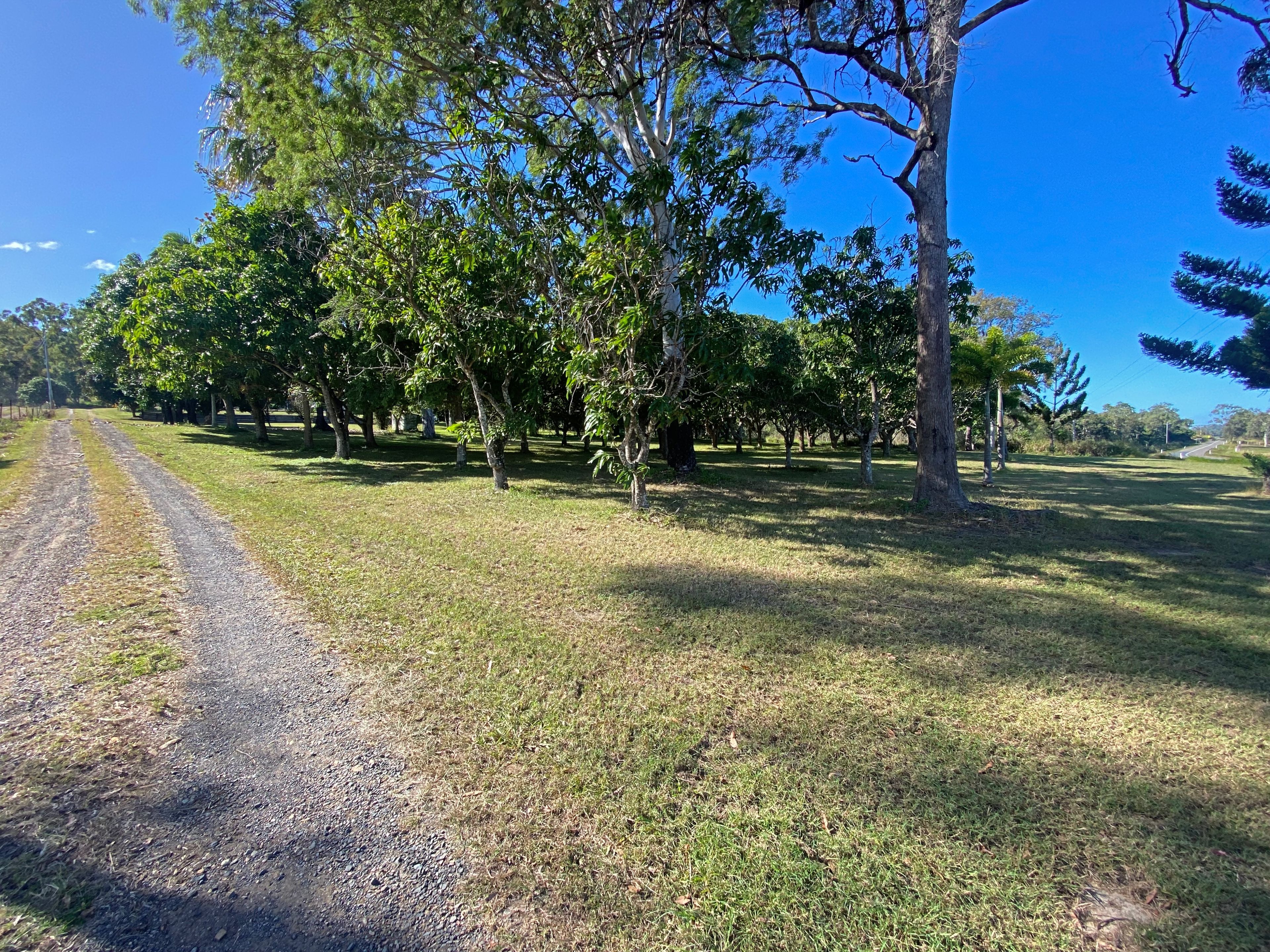 697 Sarina Beach Road, Sarina Beach, QLD 4737 Sold House Ray White