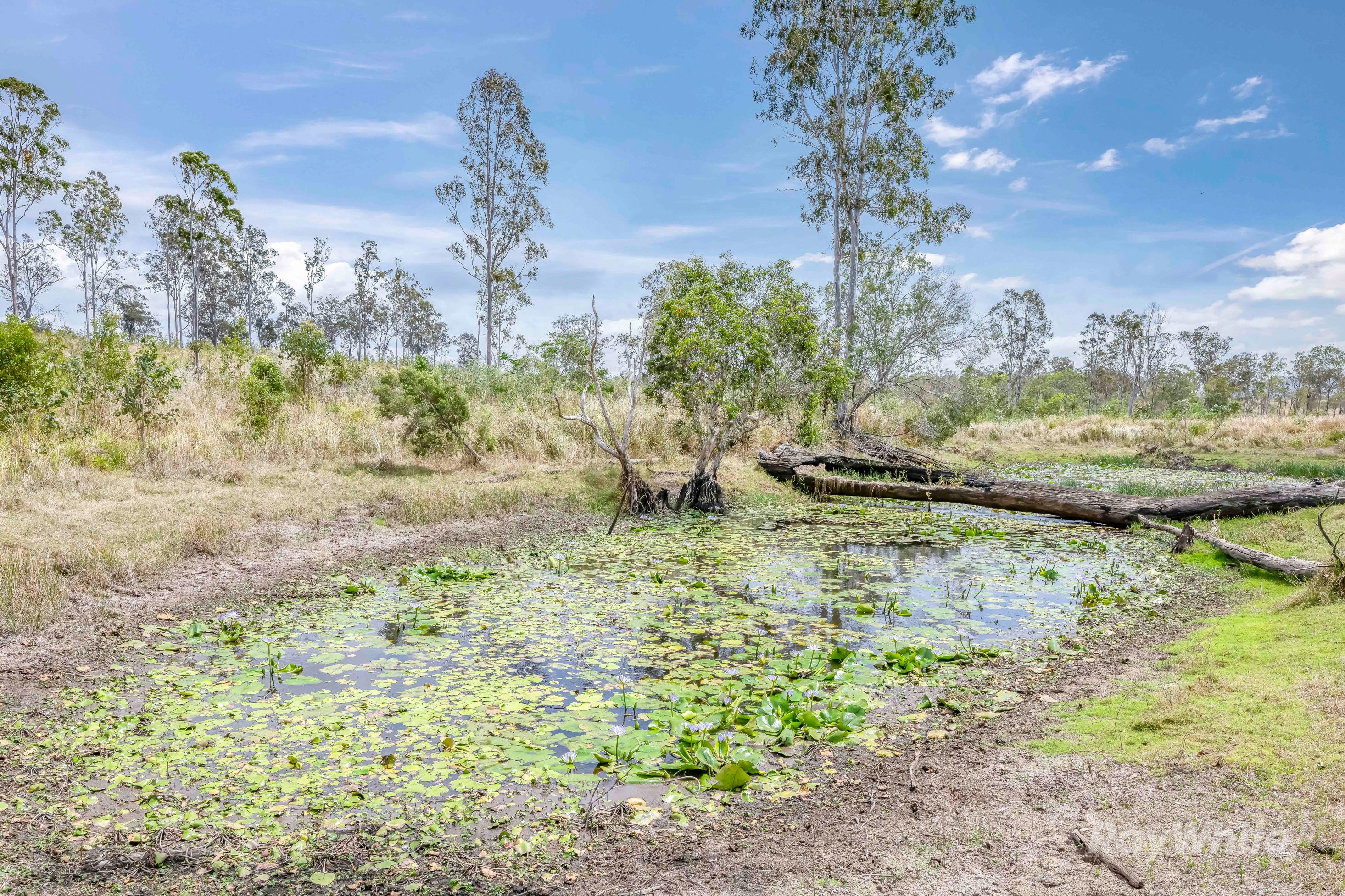 Lot 43 Moolyung Road — photo 19 of 29