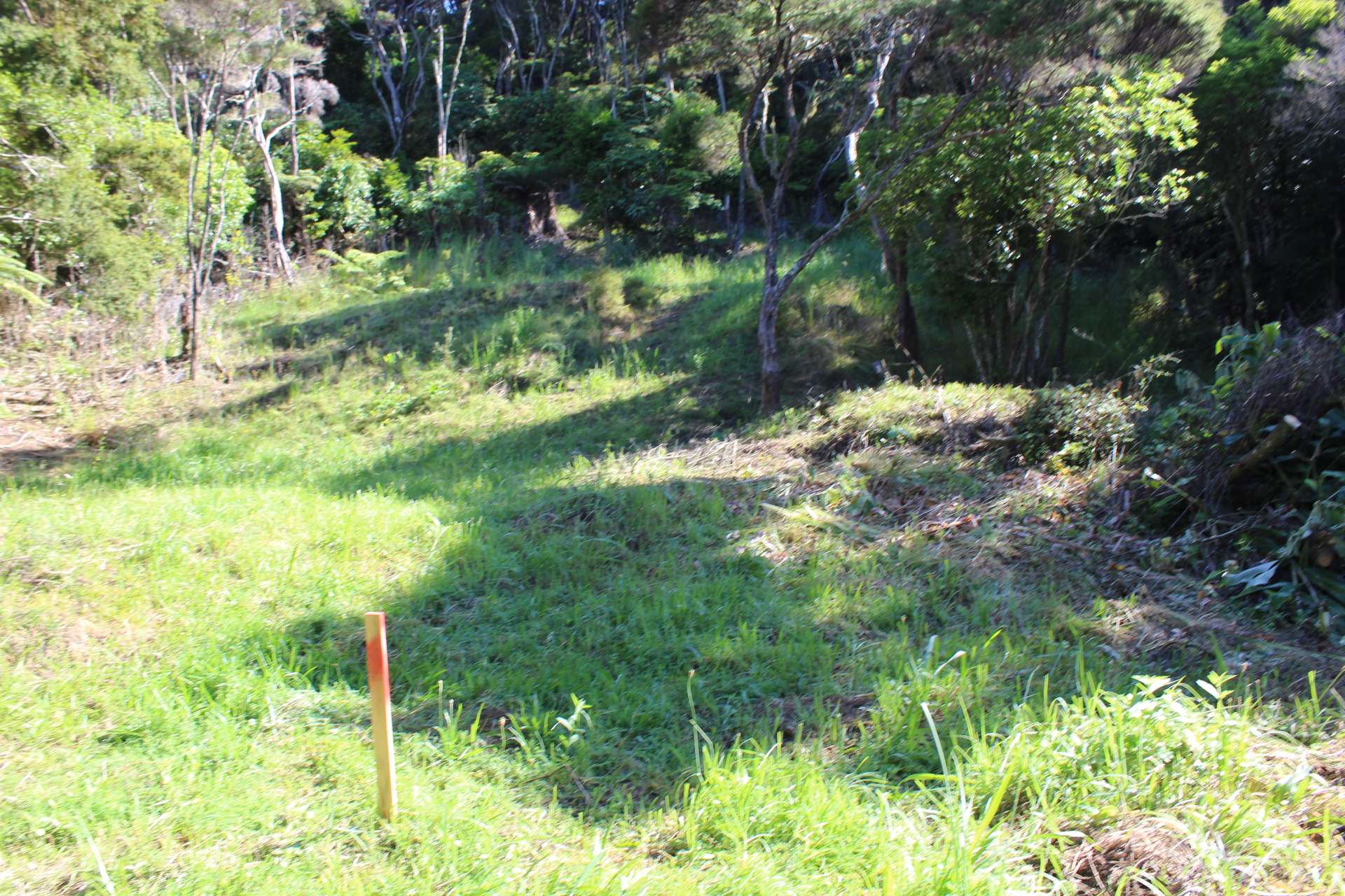 Russell  Far North District  0202 photo 4