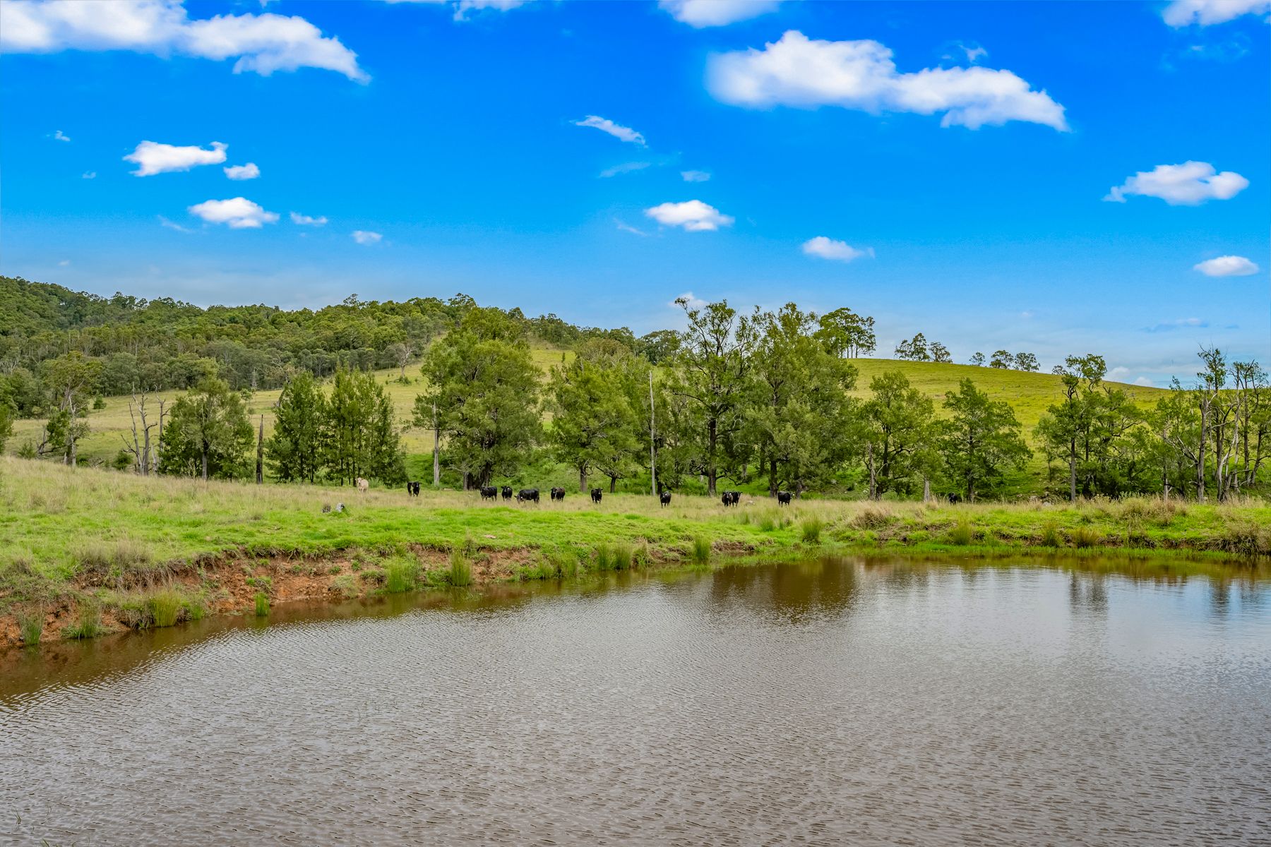 Carrowbrook Road Mount Olive — photo 8 of 15