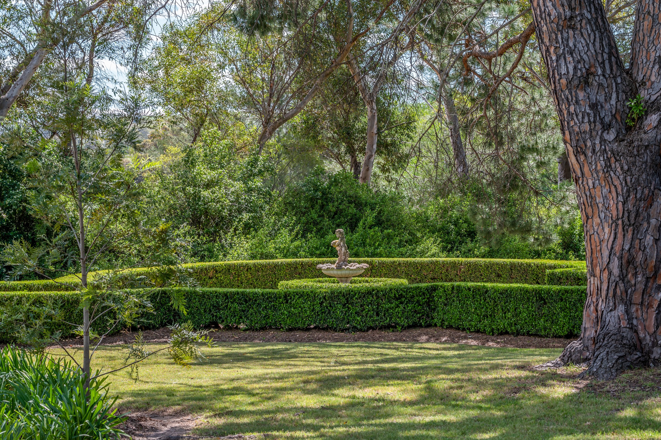 56 Carrowbrook Road, Singleton, NSW 2330