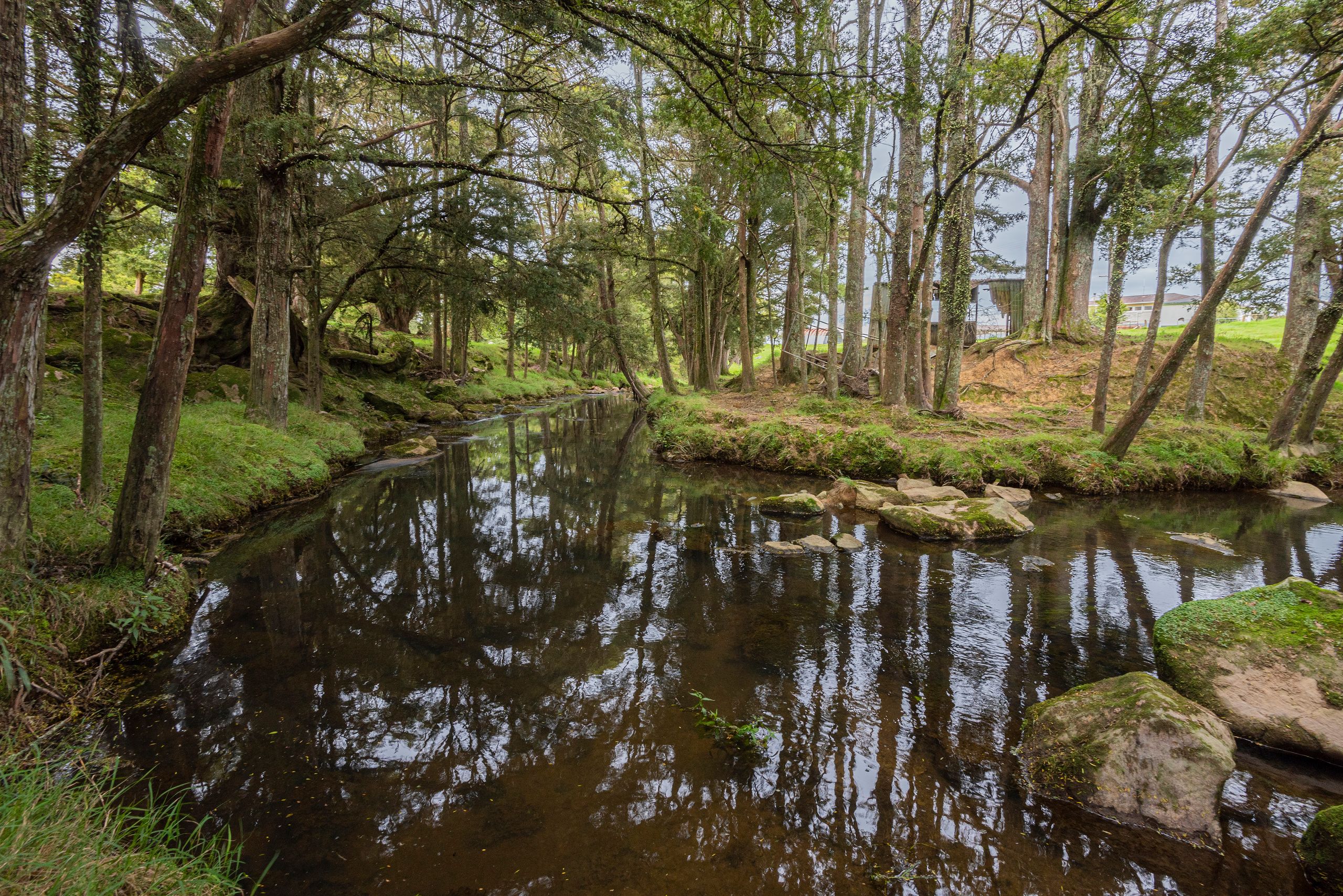 230 Mine Road, Hikurangi, Whangarei District 0114 Lifestyle Property