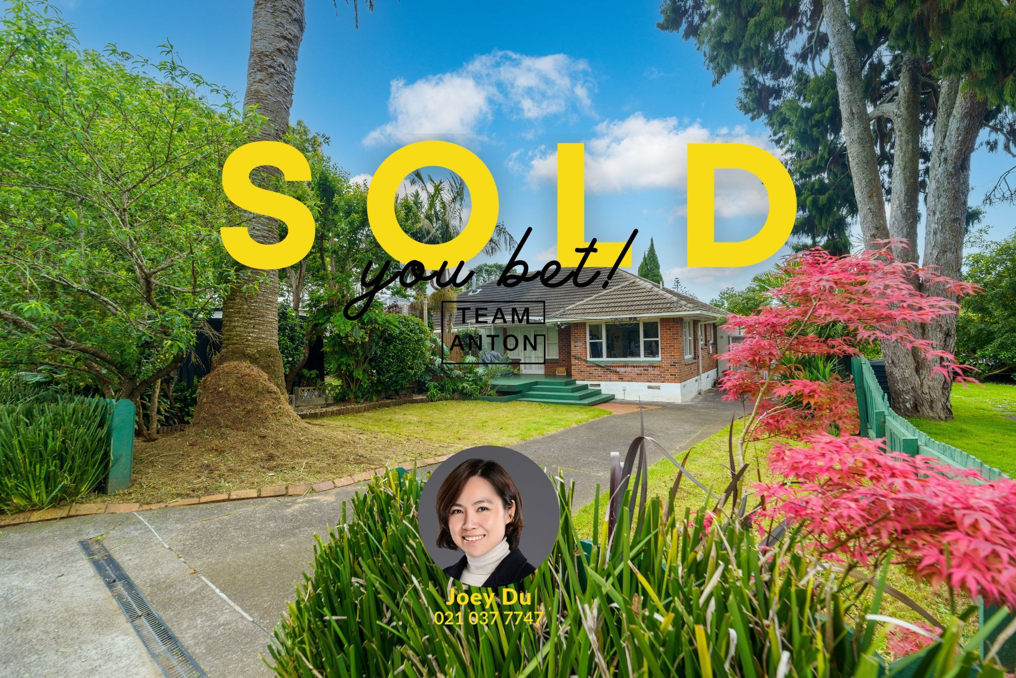 45B Asquith Avenue, Mount Albert, Auckland City 1025 Sold House Ray