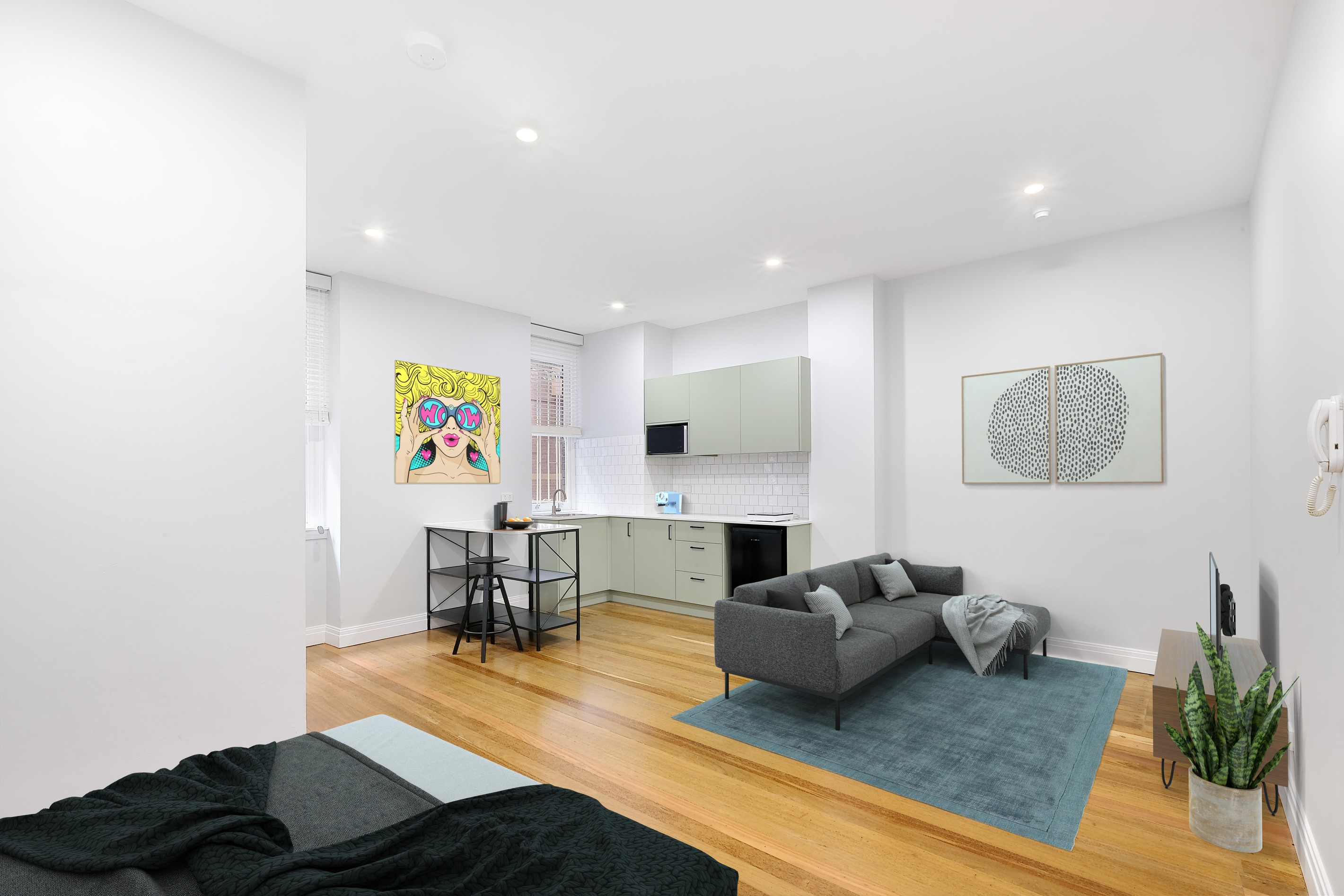 2/3 Greenknowe Avenue, Elizabeth Bay, NSW 2011