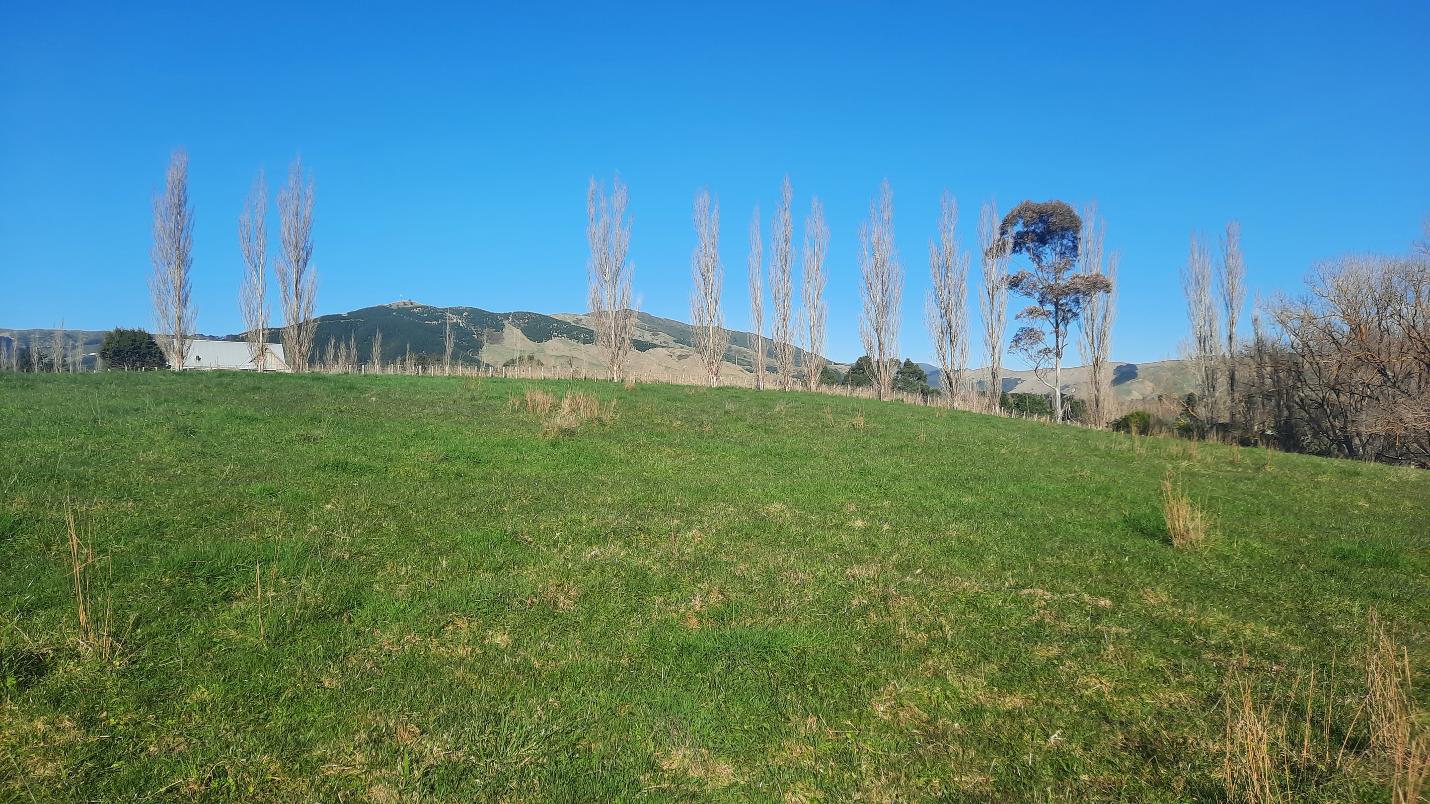 3 Williams Road, Tokomaru, Horowhenua District