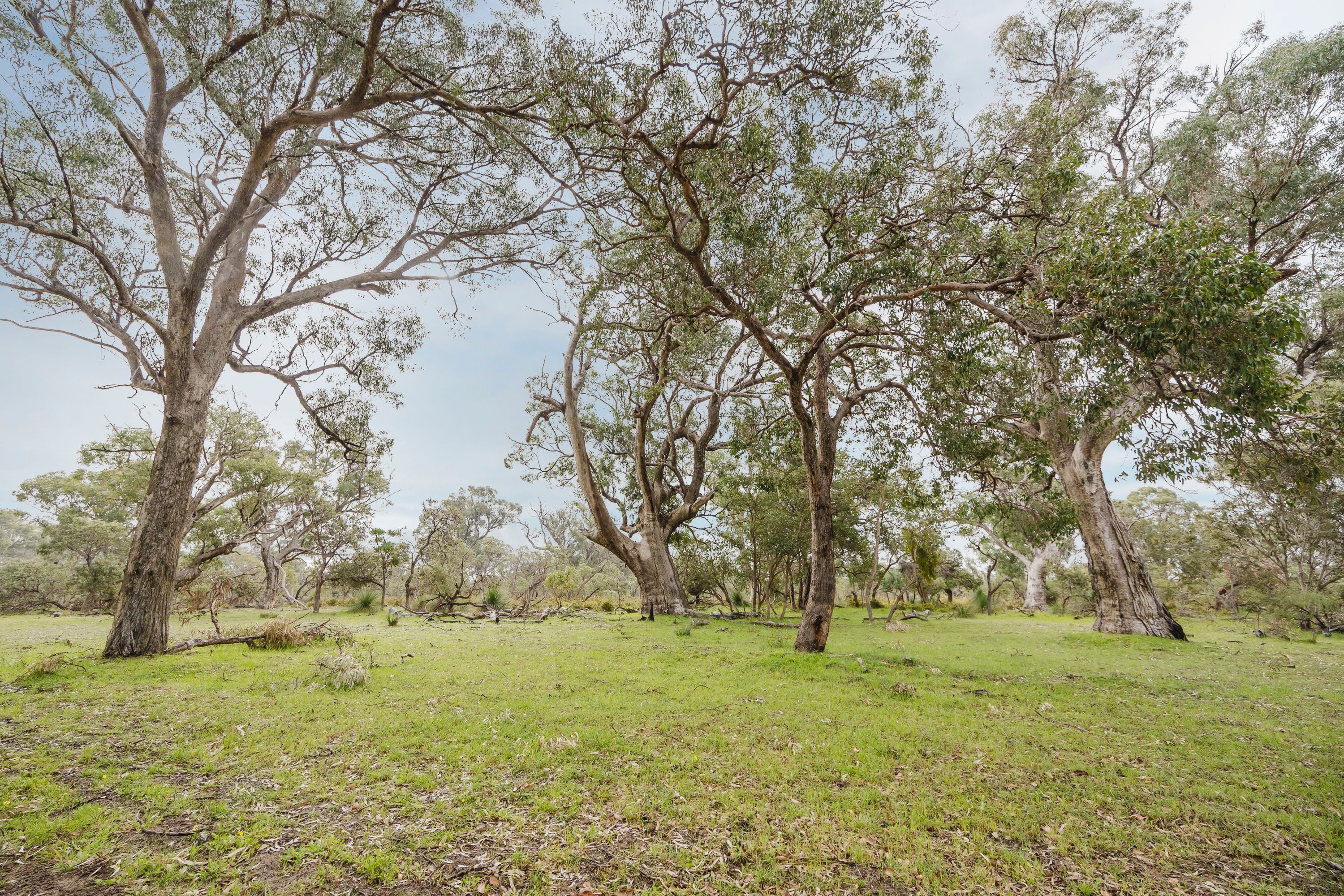 280 Boobabbie Road — photo 9 of 14