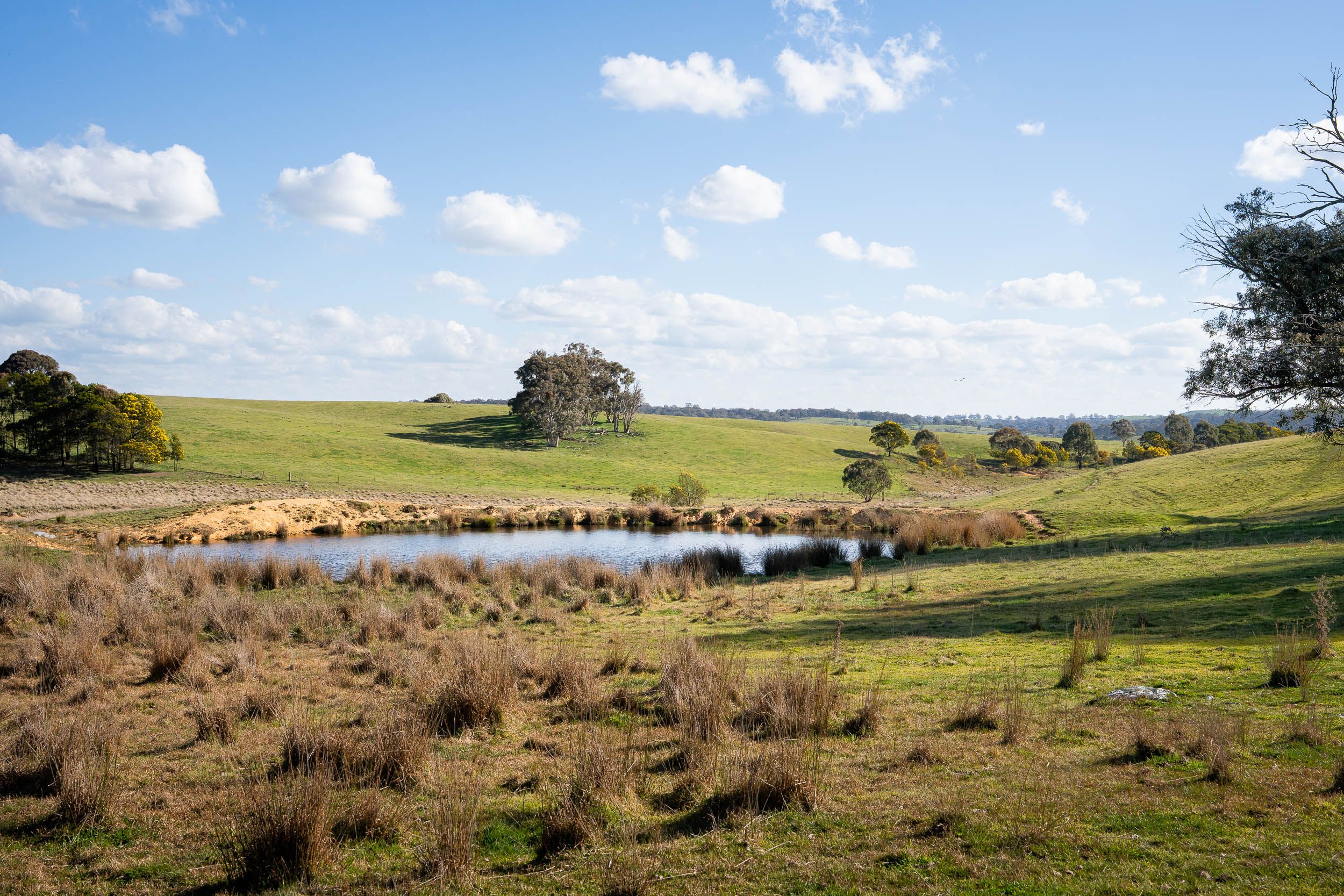 Lot 2/1116 Bannister Lane — photo 4 of 8