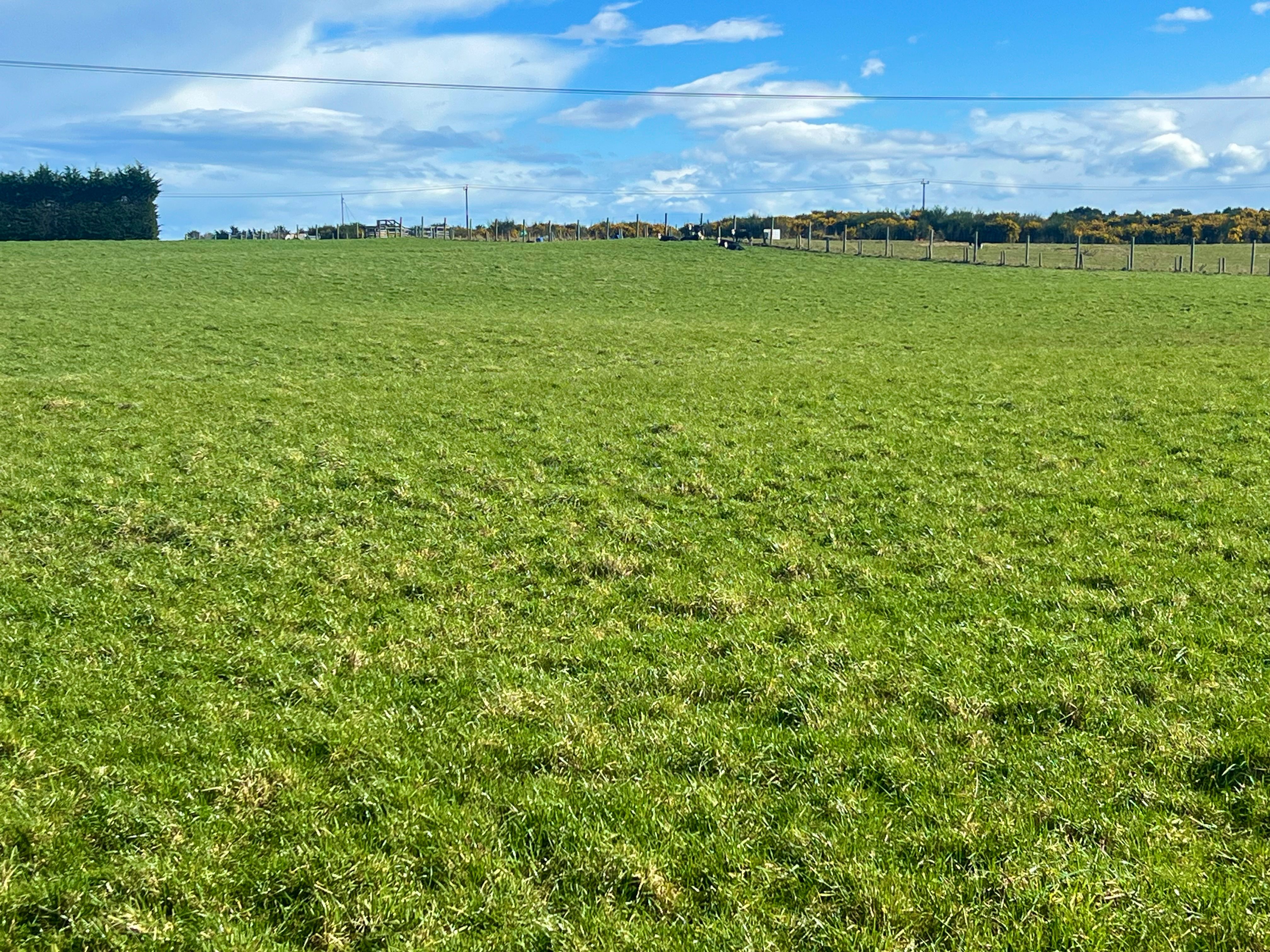 31 Mason Road, Seaward Bush, Invercargill