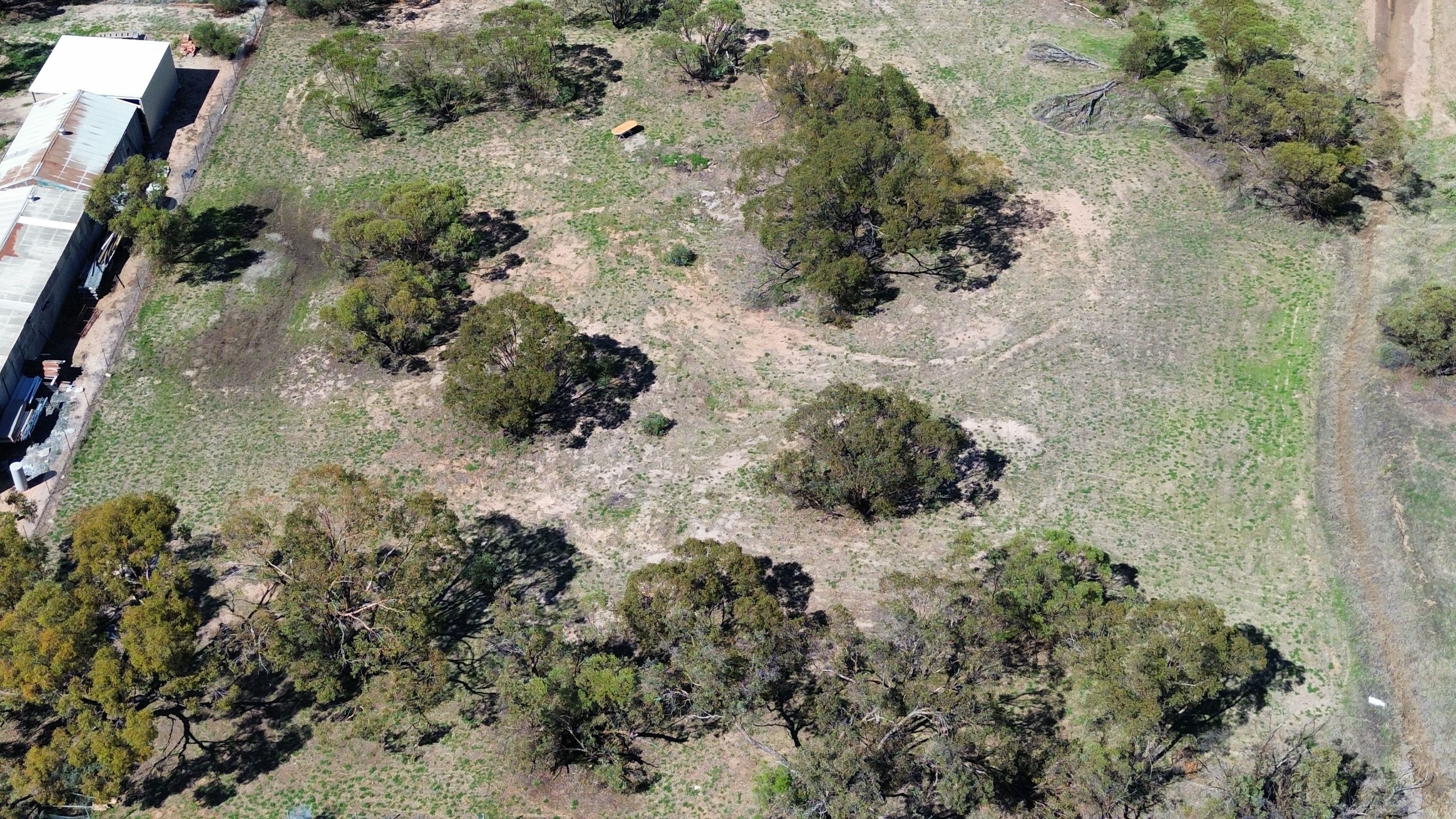 39 Morrison Street, Birchip, VIC 3483