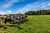 289 Hukerenui Road photo 6