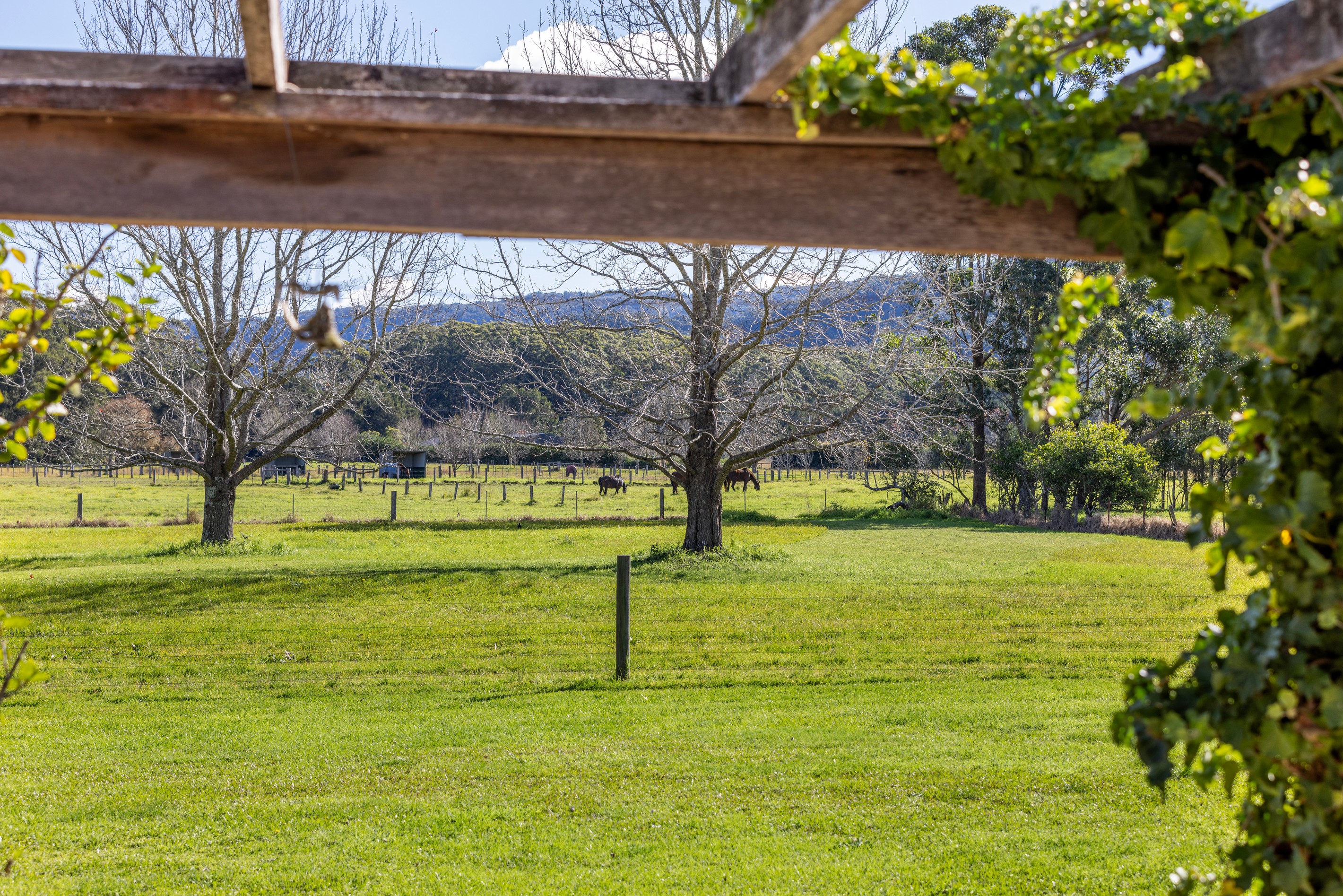 89 Woodhill Mountain Road, Berry, NSW 2535
