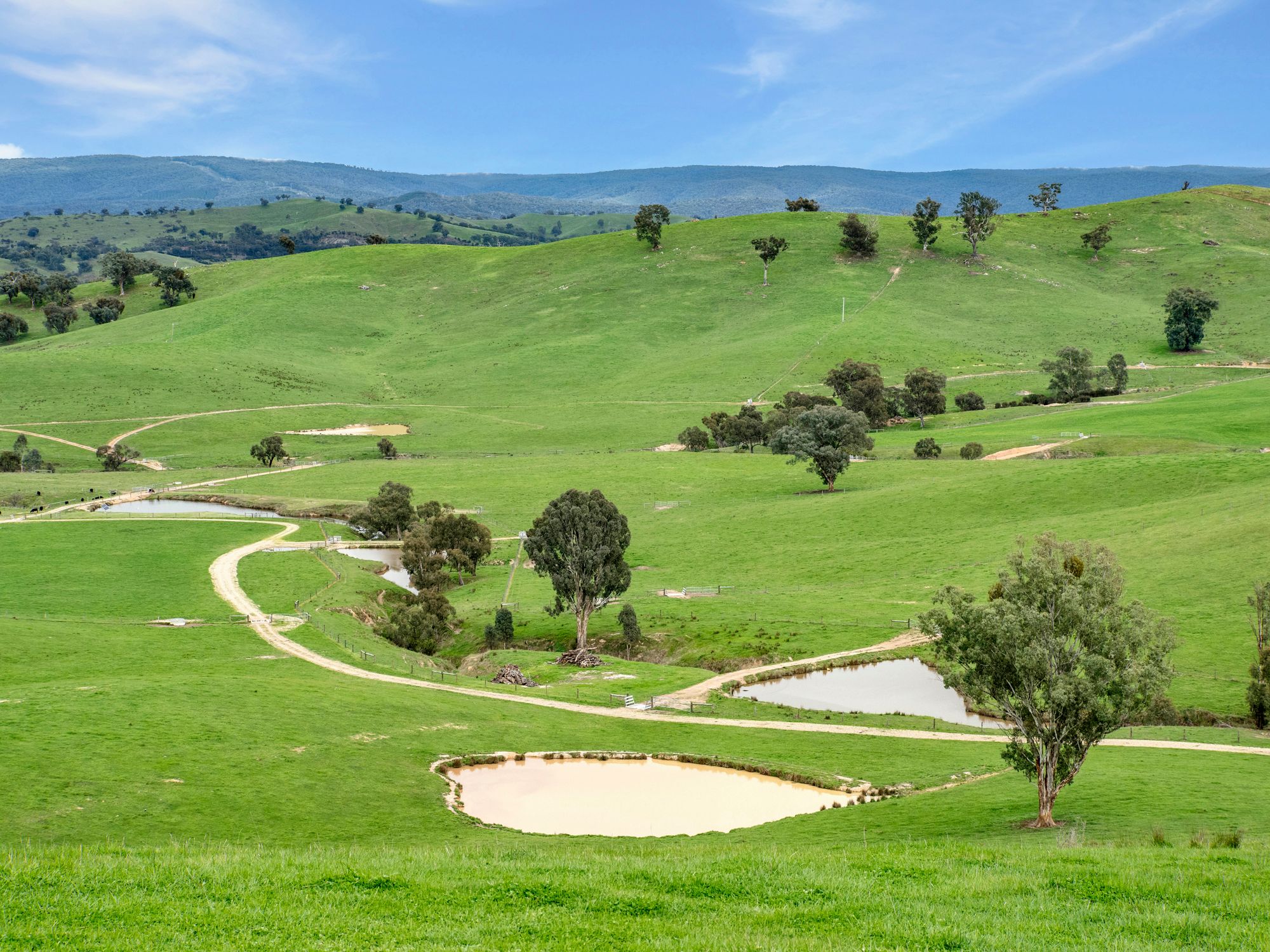 146 Hobans Road, Alexandra, VIC 3714